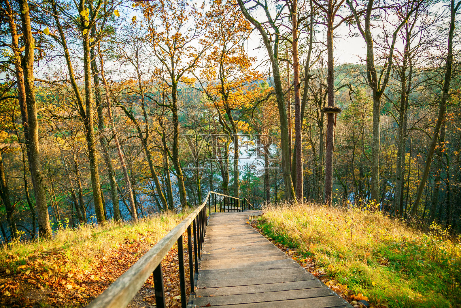 秋季地区公园里的木楼梯照片摄影图片