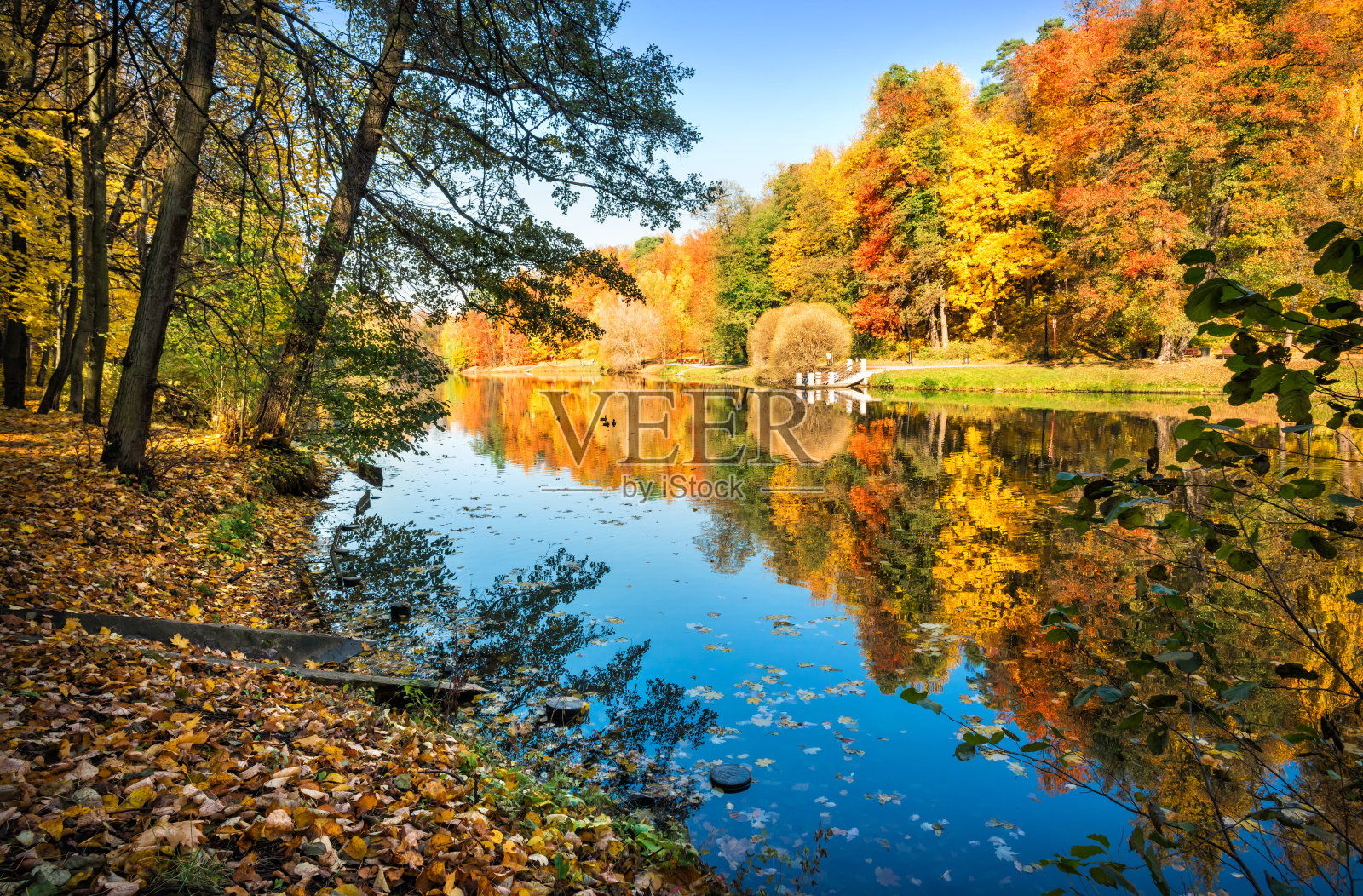 莫斯科沙皇公园里倒影在池塘水面上的秋日树木照片摄影图片