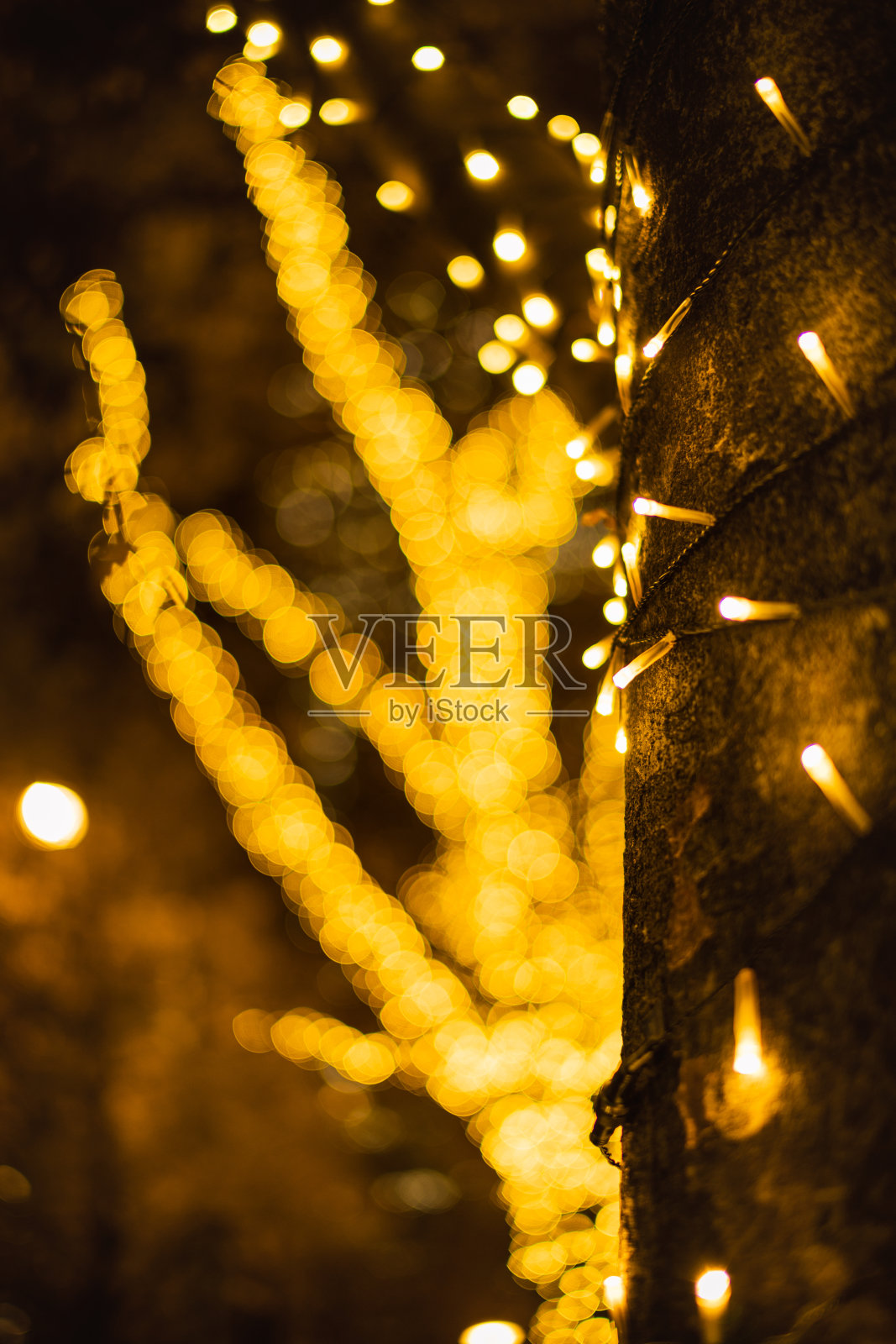 在新宿周围点亮圣诞彩灯照片摄影图片