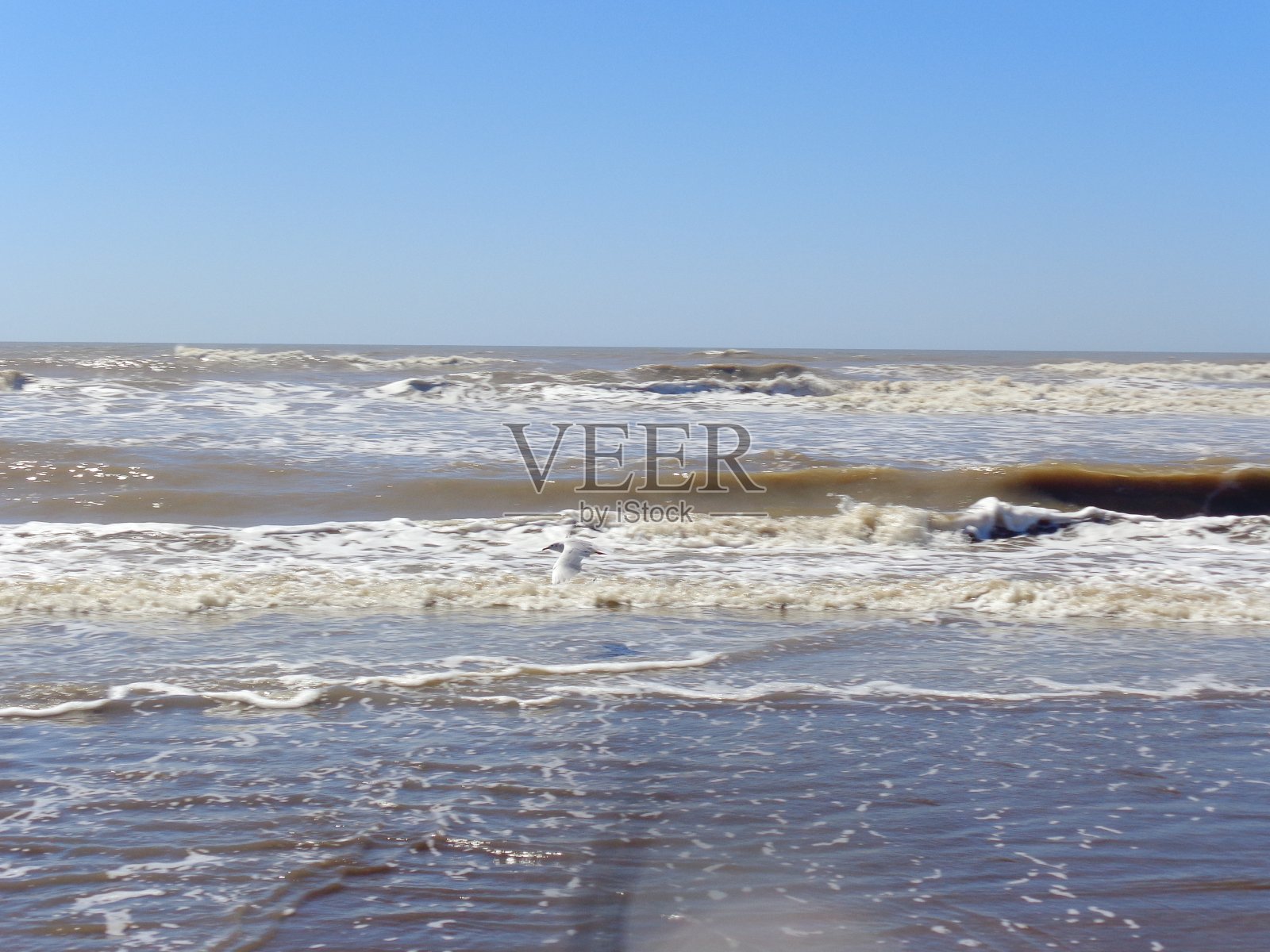 天空下，海鸥的飞浪拍打着海岸照片摄影图片
