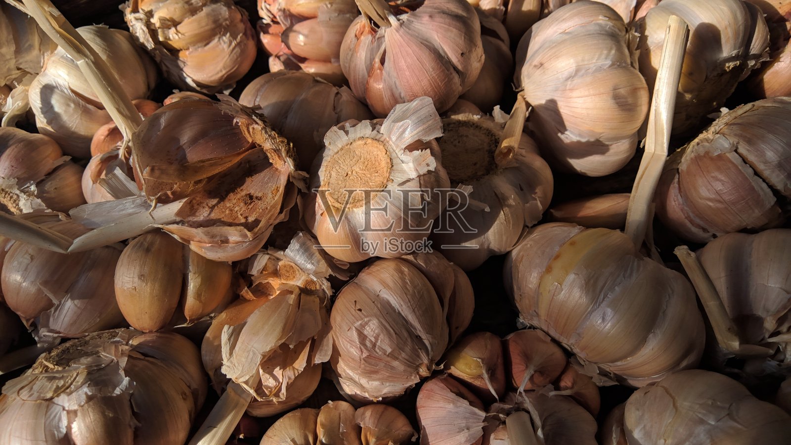 大蒜特写照片摄影图片