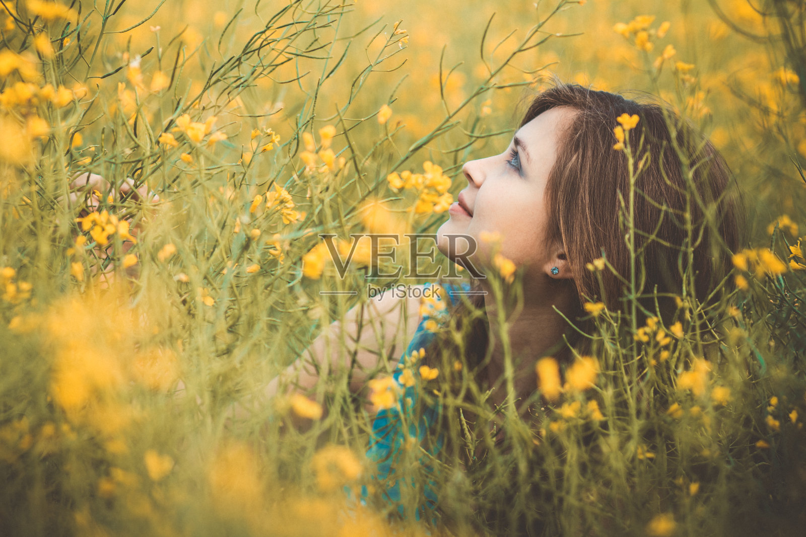 美丽浪漫的女孩坐在盛开的油菜地上欣赏自然，年轻优雅的女子在散步，美丽的女性脸从鲜花中抬头照片摄影图片