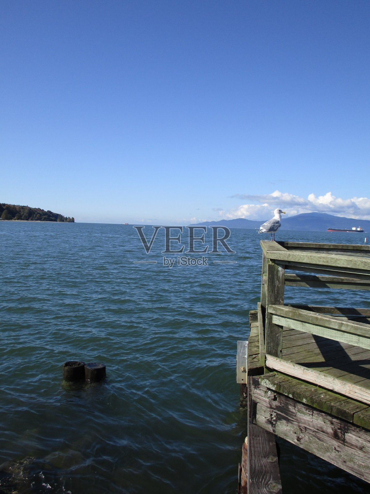 秋天耶利哥海滩海岸和码头风景，加拿大照片摄影图片