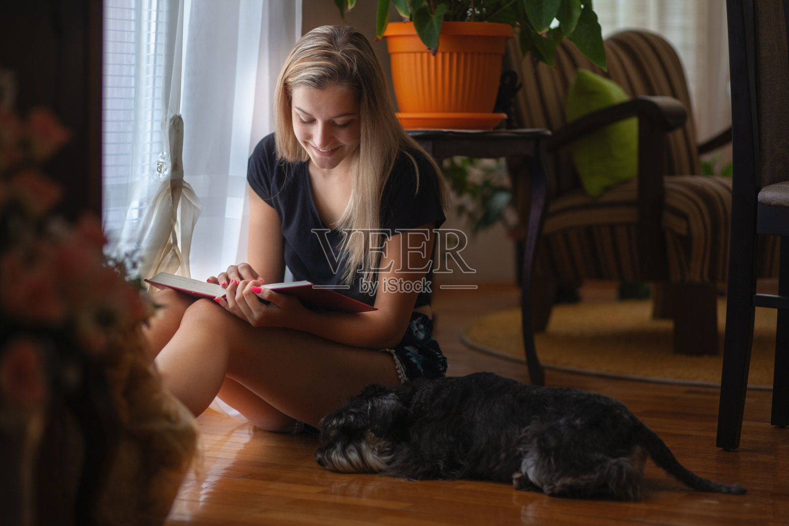 美丽的女人，一边看书，一边和她的狗在一起照片摄影图片