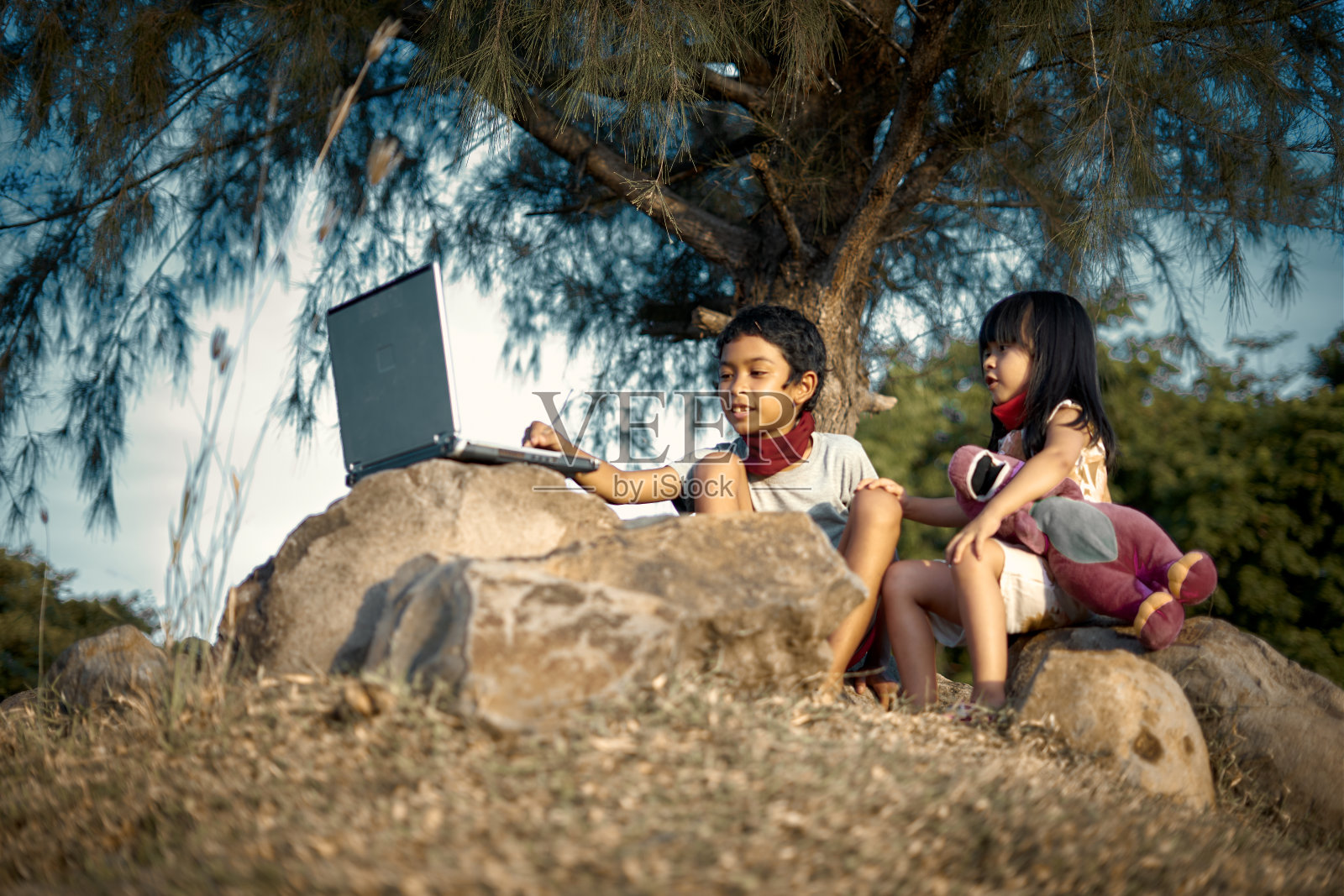 一个男孩在树下用笔记本电脑教他的小妹妹学习照片摄影图片