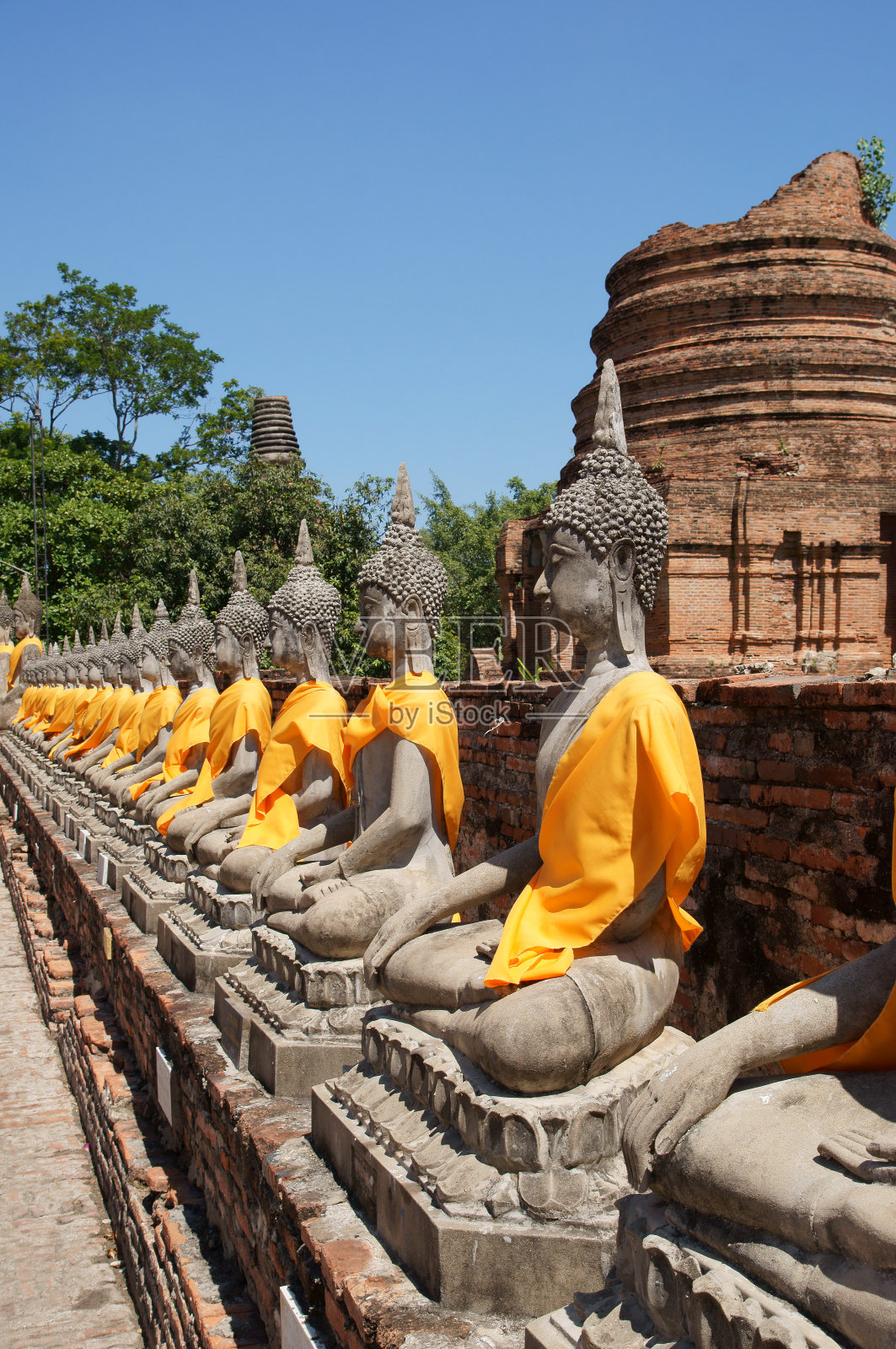 Yai Chaimongko寺的一排佛像照片摄影图片