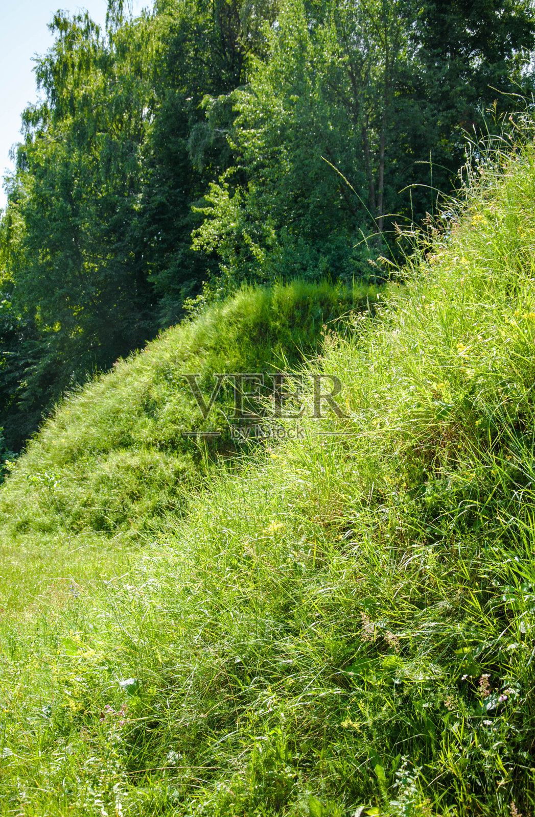 美丽的草地和美丽的山丘照片摄影图片