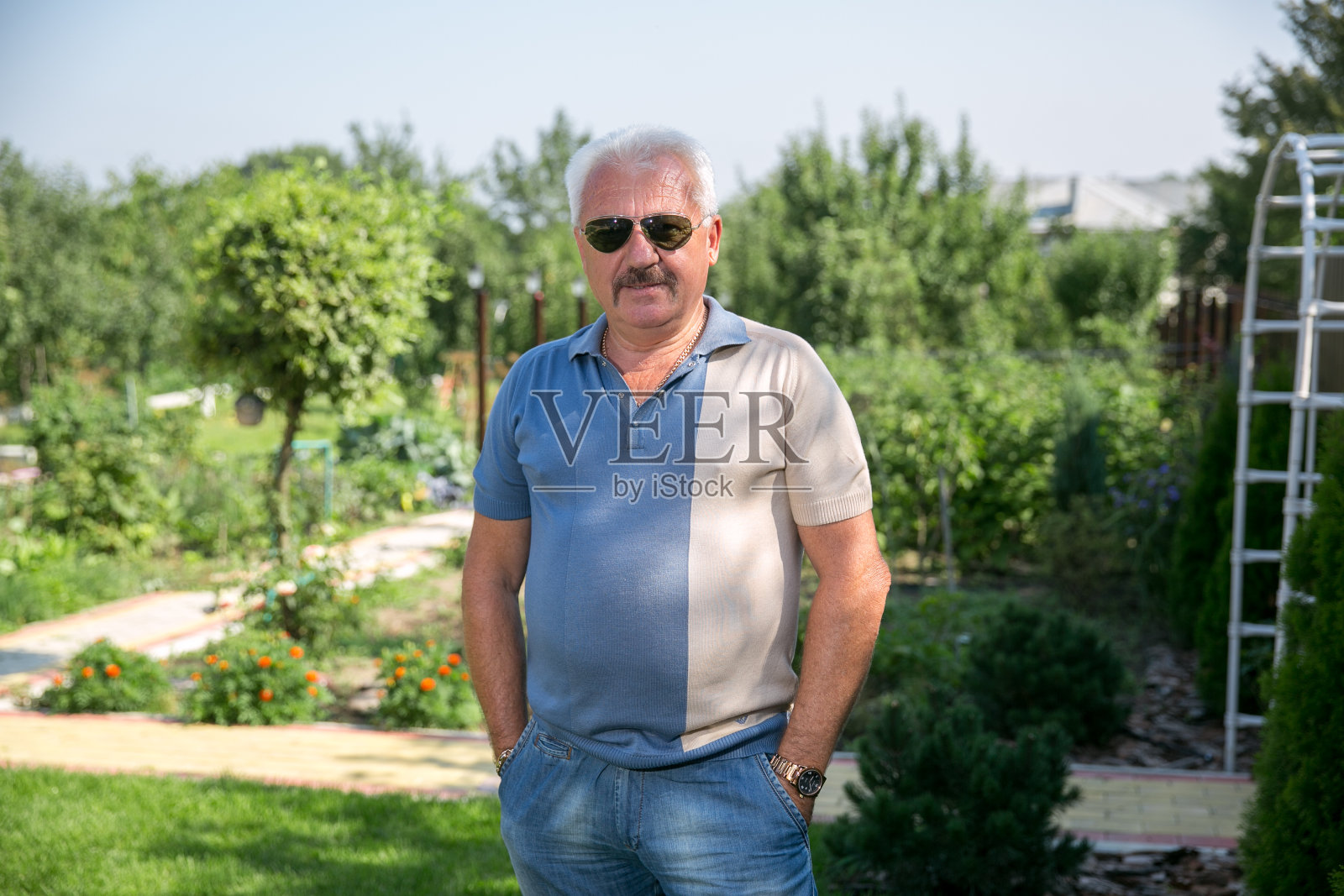 夏天戴着墨镜的白发老人照片摄影图片