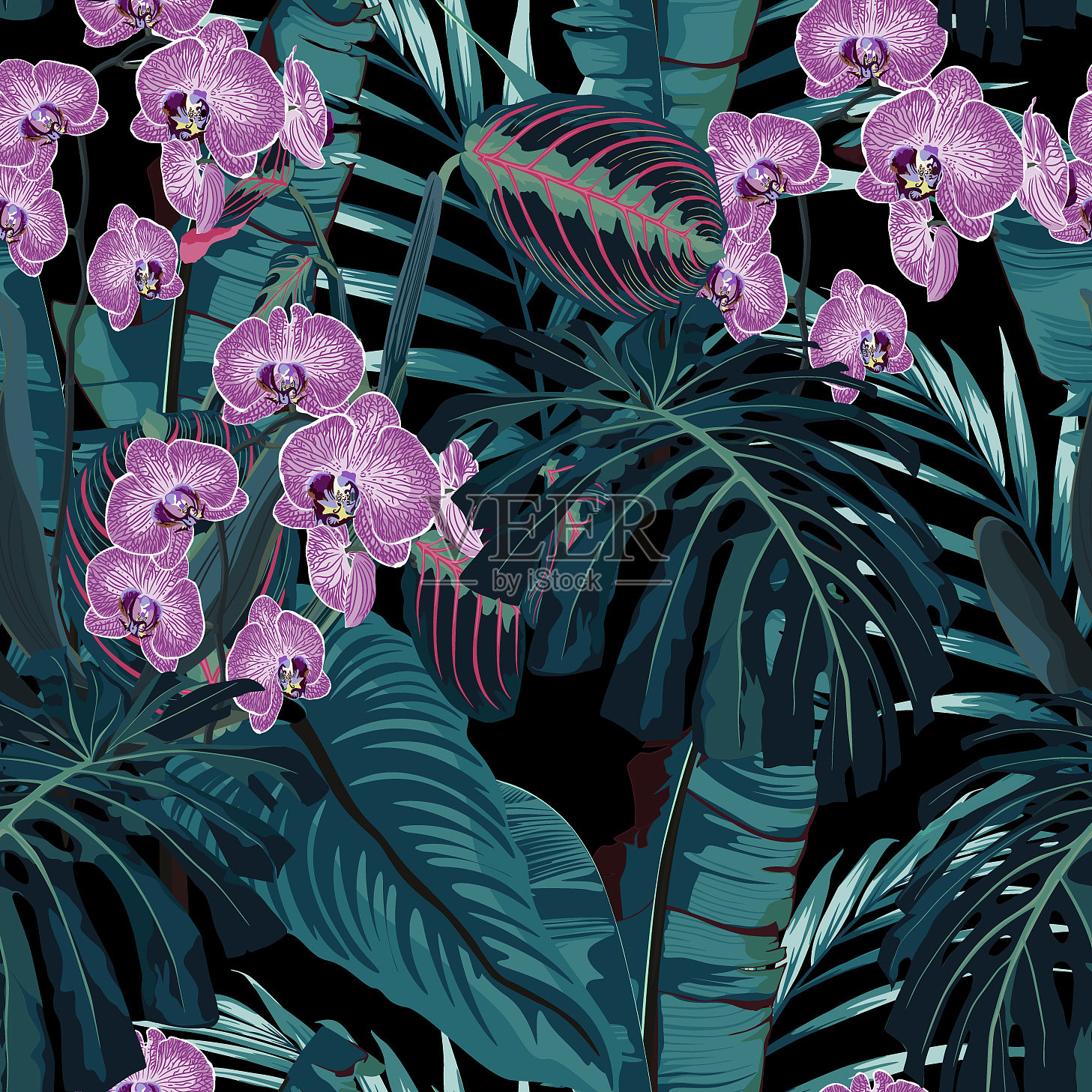 棕榈叶和热带粉红色兰花花插画图片素材