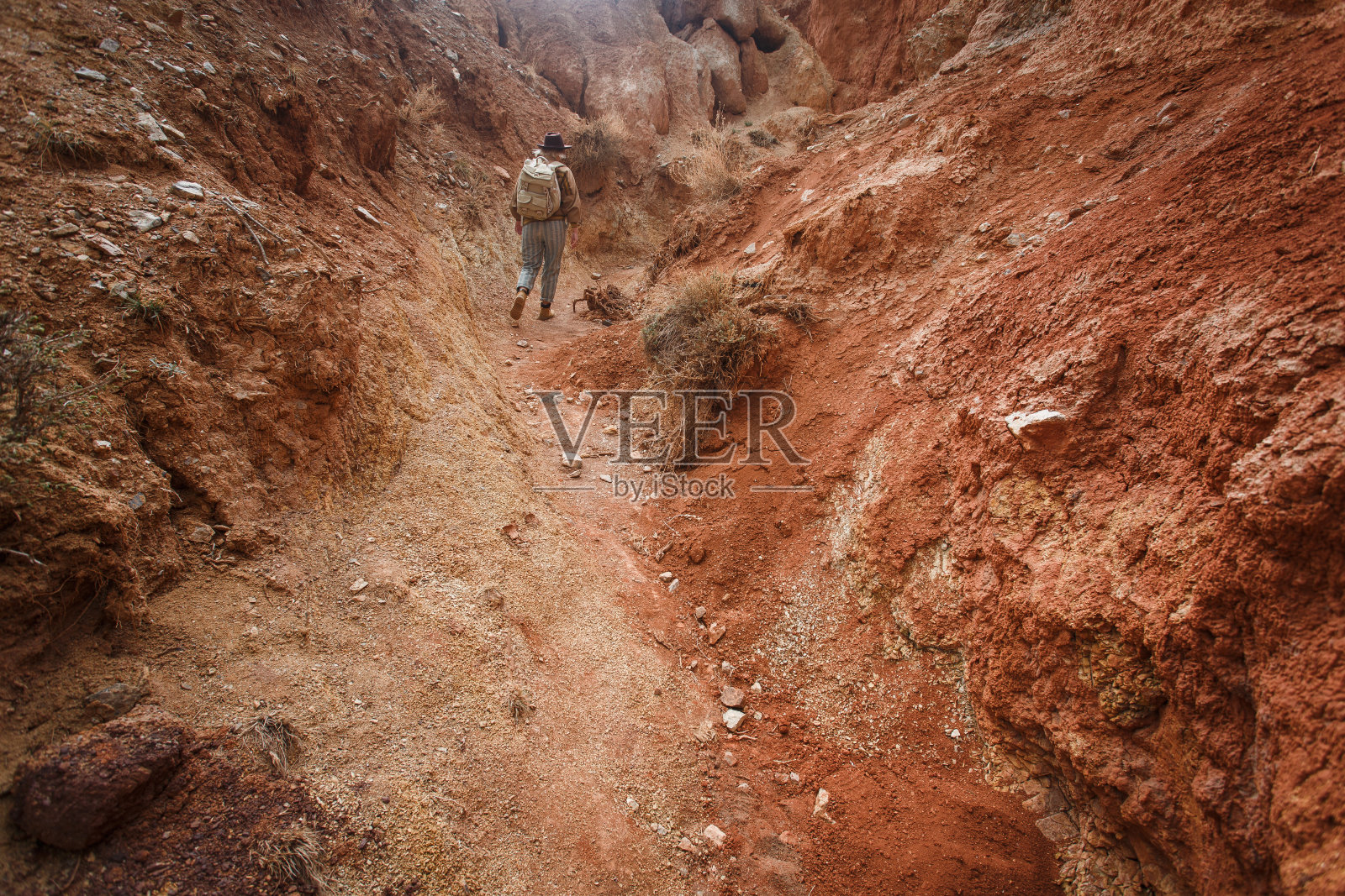美丽的年轻女孩在野兔，帽子和背包坐在沙漠中在野外照片摄影图片