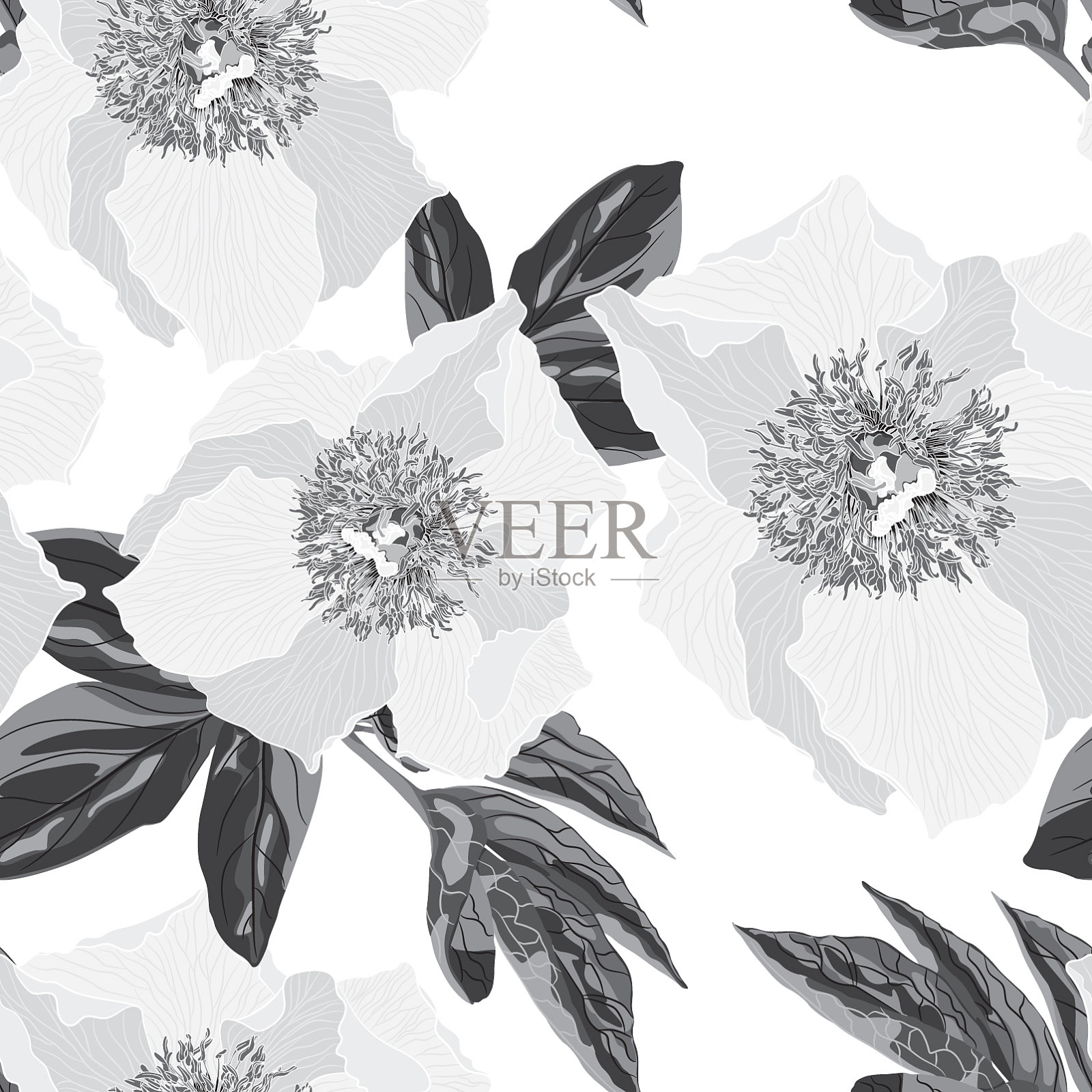 牡丹花无缝单色图案插画图片素材