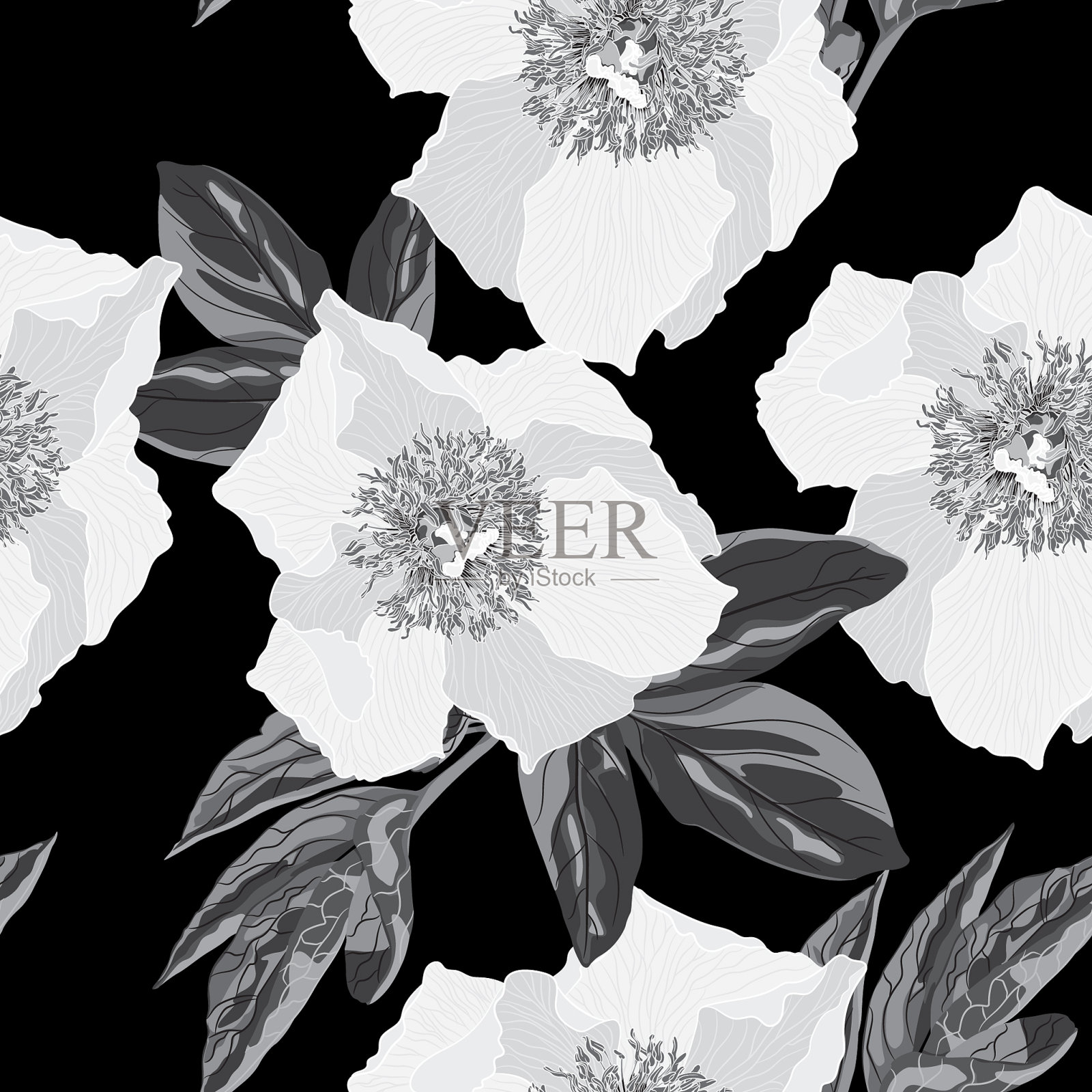 无缝植物花，黑白色牡丹插画图片素材