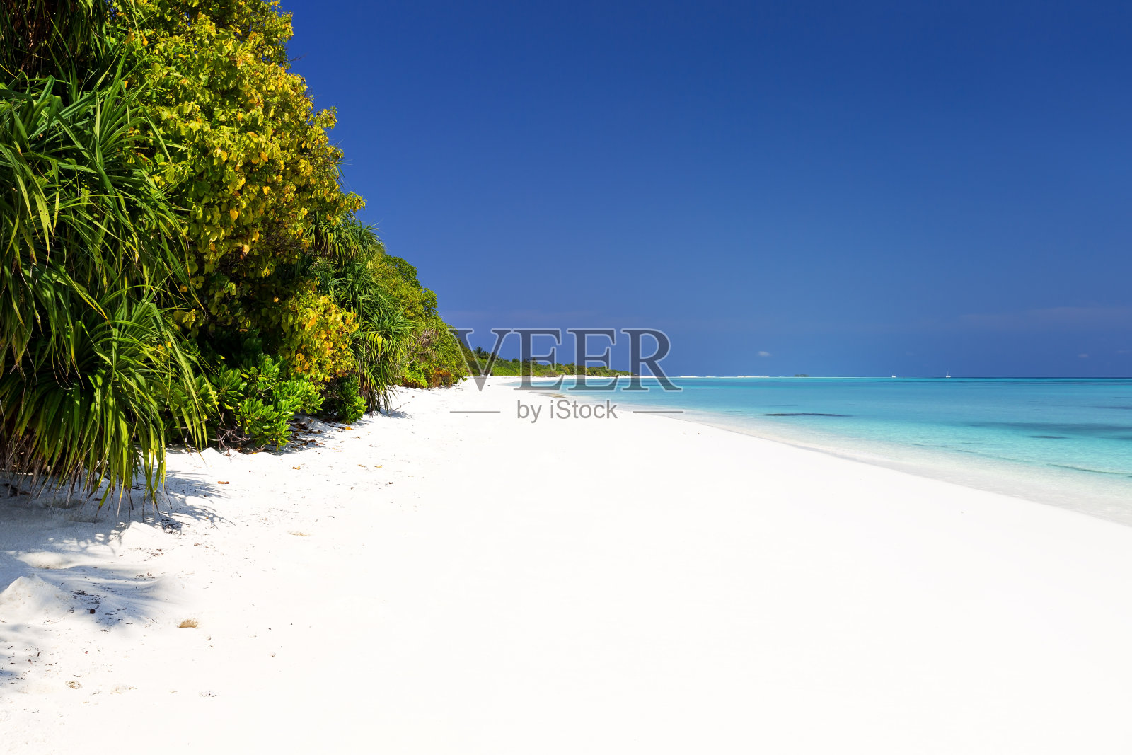 马尔代夫岛的白色沙滩照片摄影图片