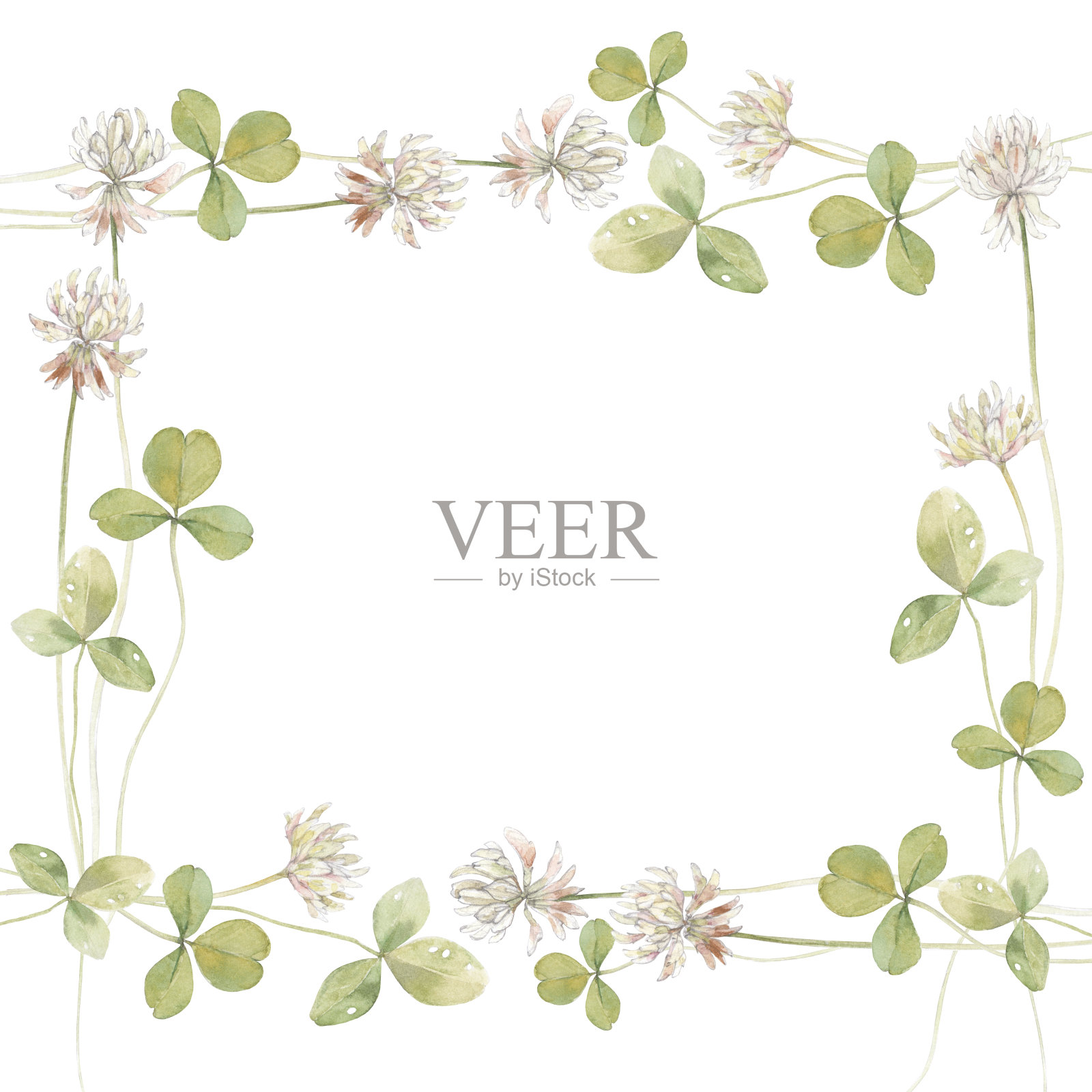 水彩插图白色与复制空间的文本-背景与三叶草-背景贺卡，海报，横幅和海报。广场插花艺术。插画图片素材