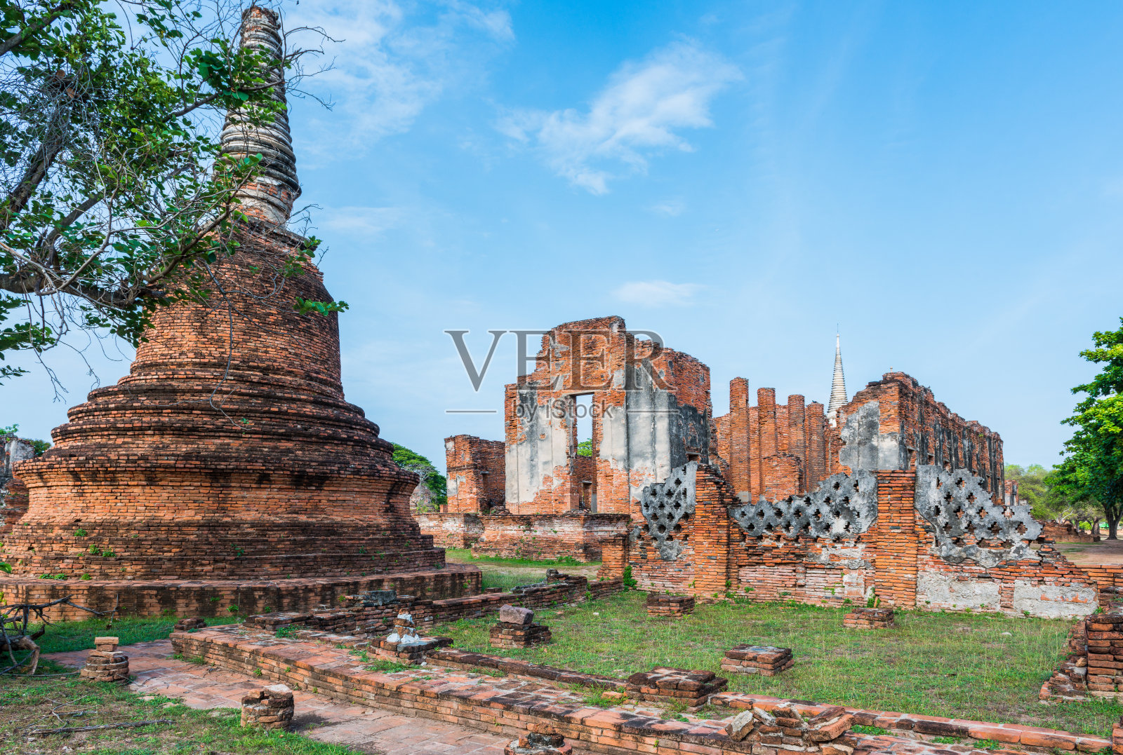 泰国大城府的佛寺照片摄影图片