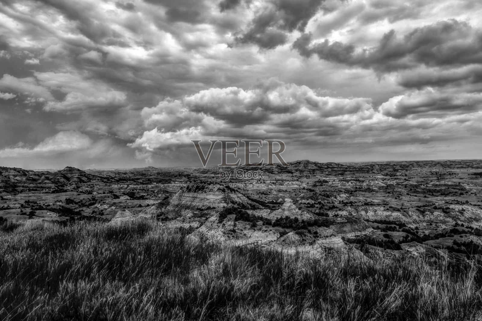 西奥多·罗斯福国家公园照片摄影图片