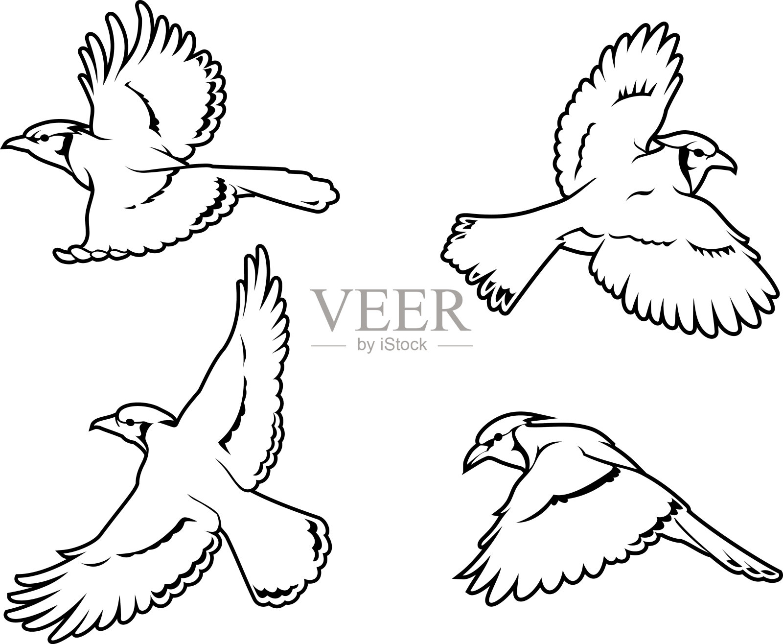 蓝杰伊鸟线艺术设计元素图片