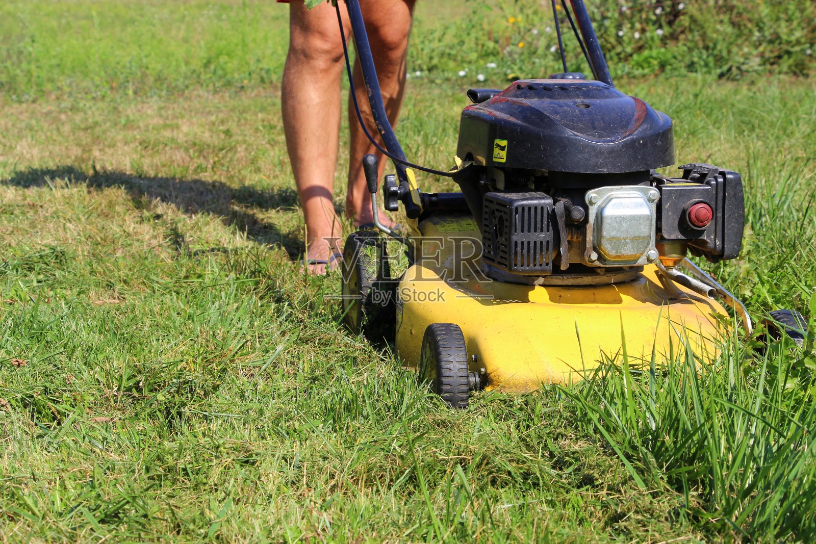 修剪草坪照片摄影图片