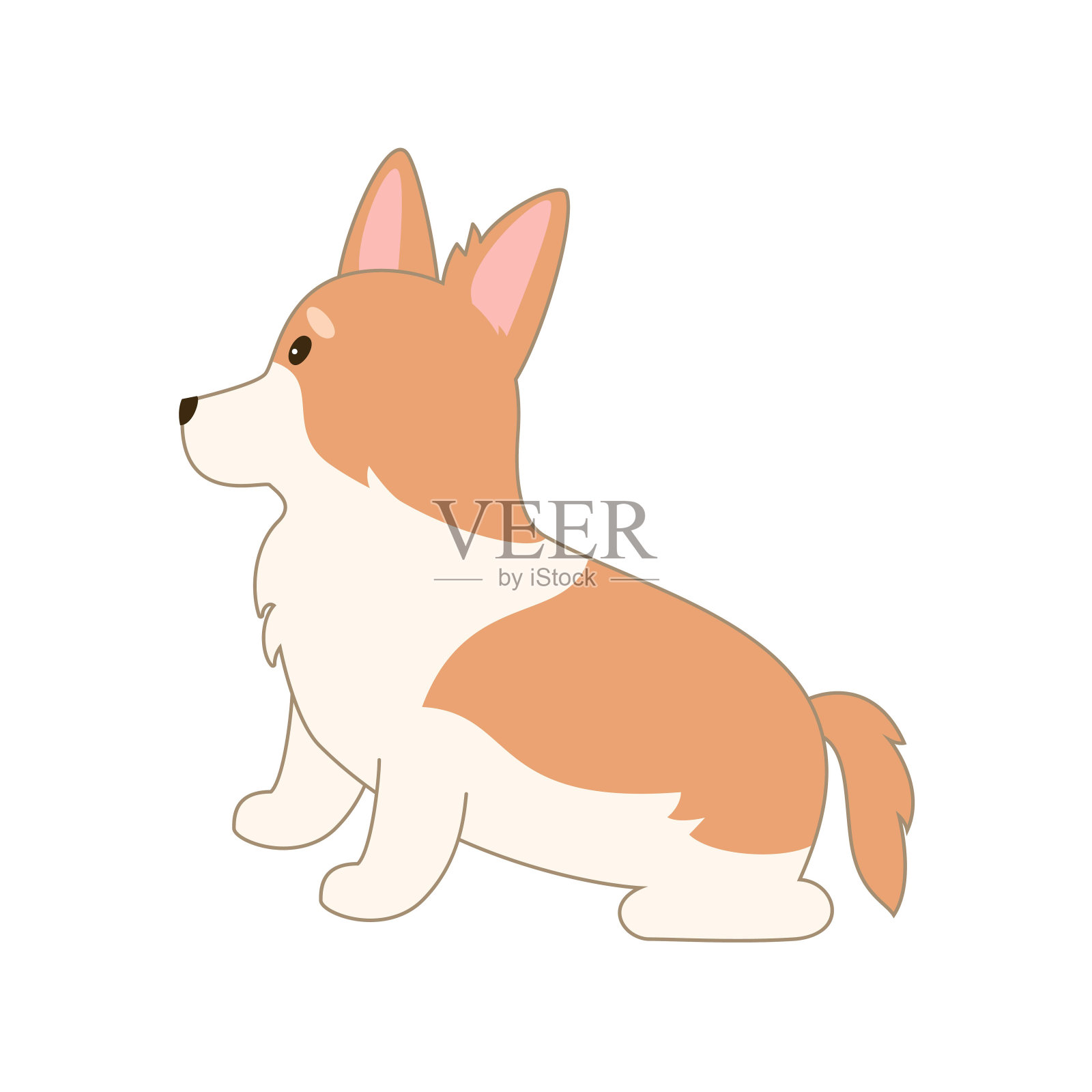 卡通威尔士柯基在白色背景。插画图片素材