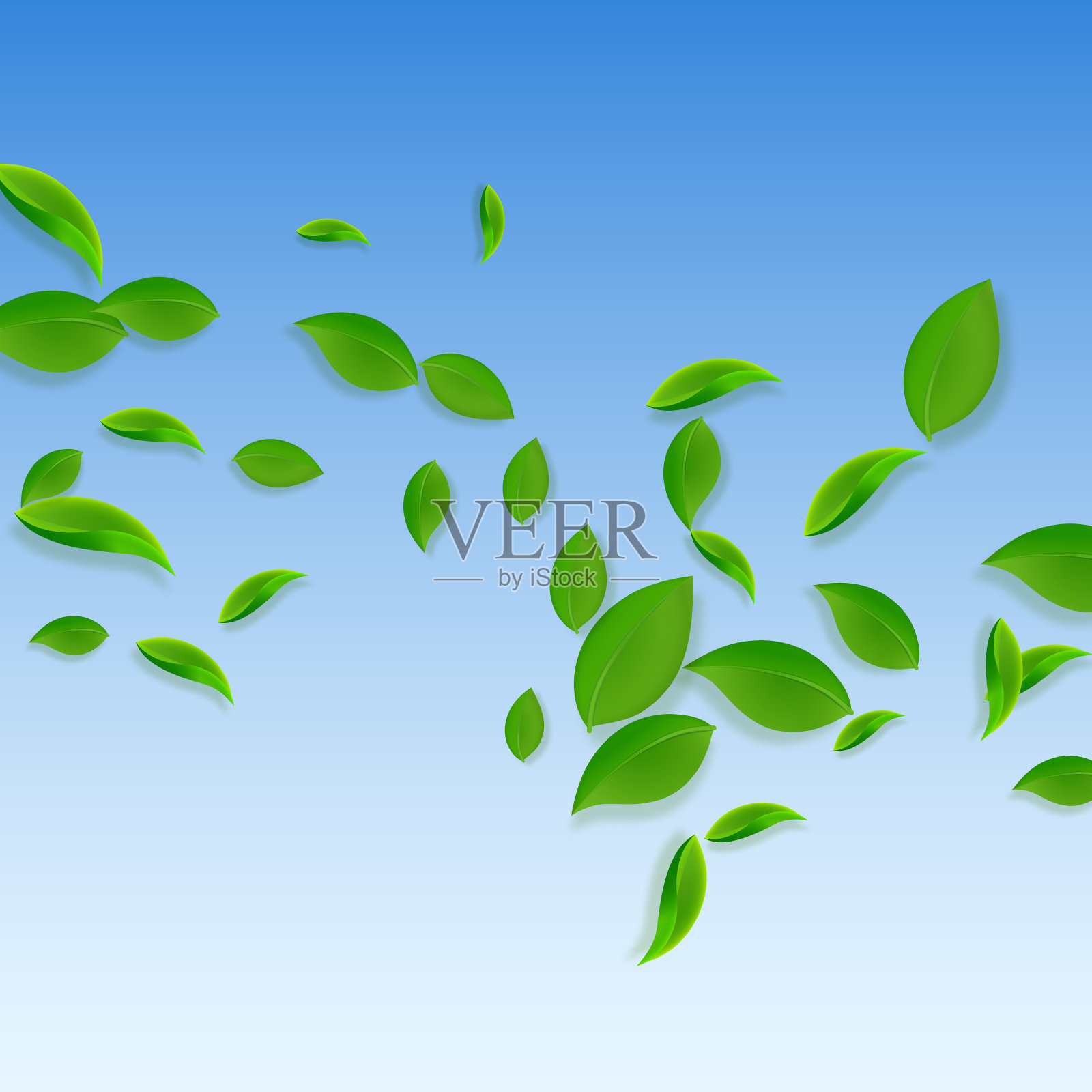 飘落的绿叶。鲜茶乱叶飞设计元素图片