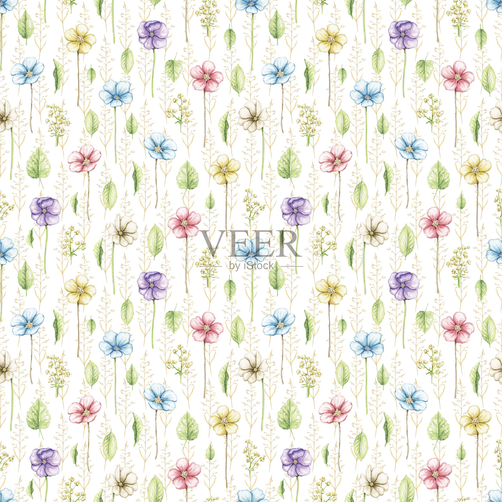 水彩无缝图案与多色紫罗兰花和植物插画图片素材