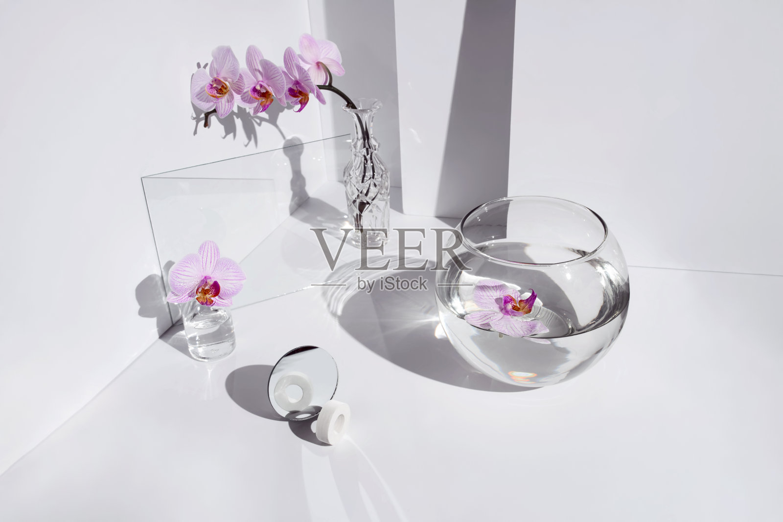 几何角度组成蝴蝶兰花，不同的玻璃物体和阴影在白色的背景照片摄影图片