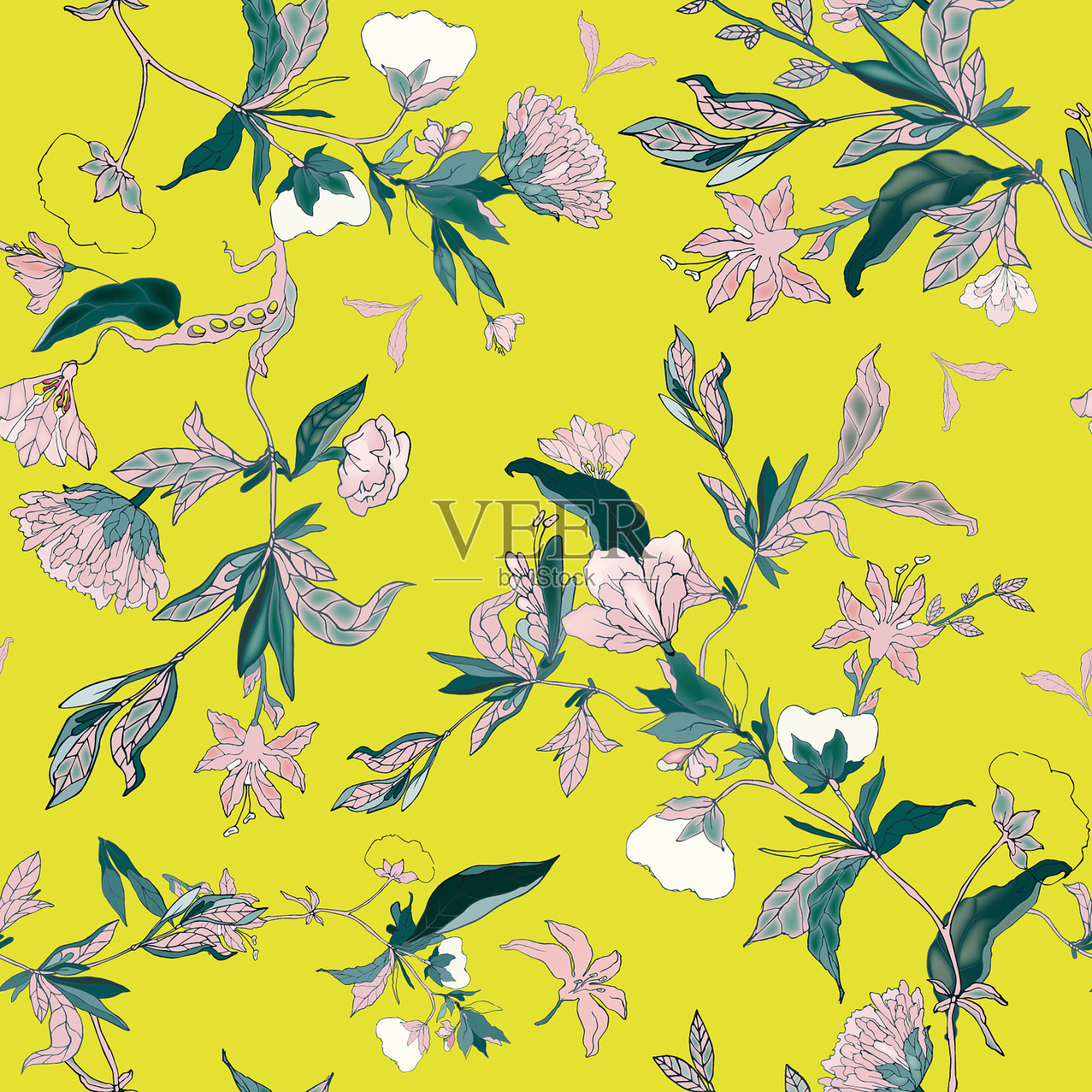 精致的花朵点缀枝叶和枝叶插画图片素材