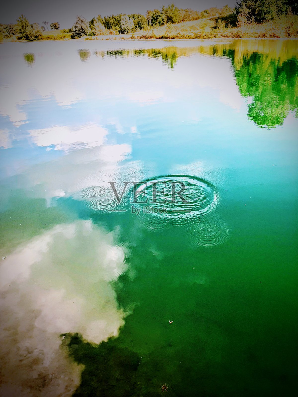 镜像照片摄影图片