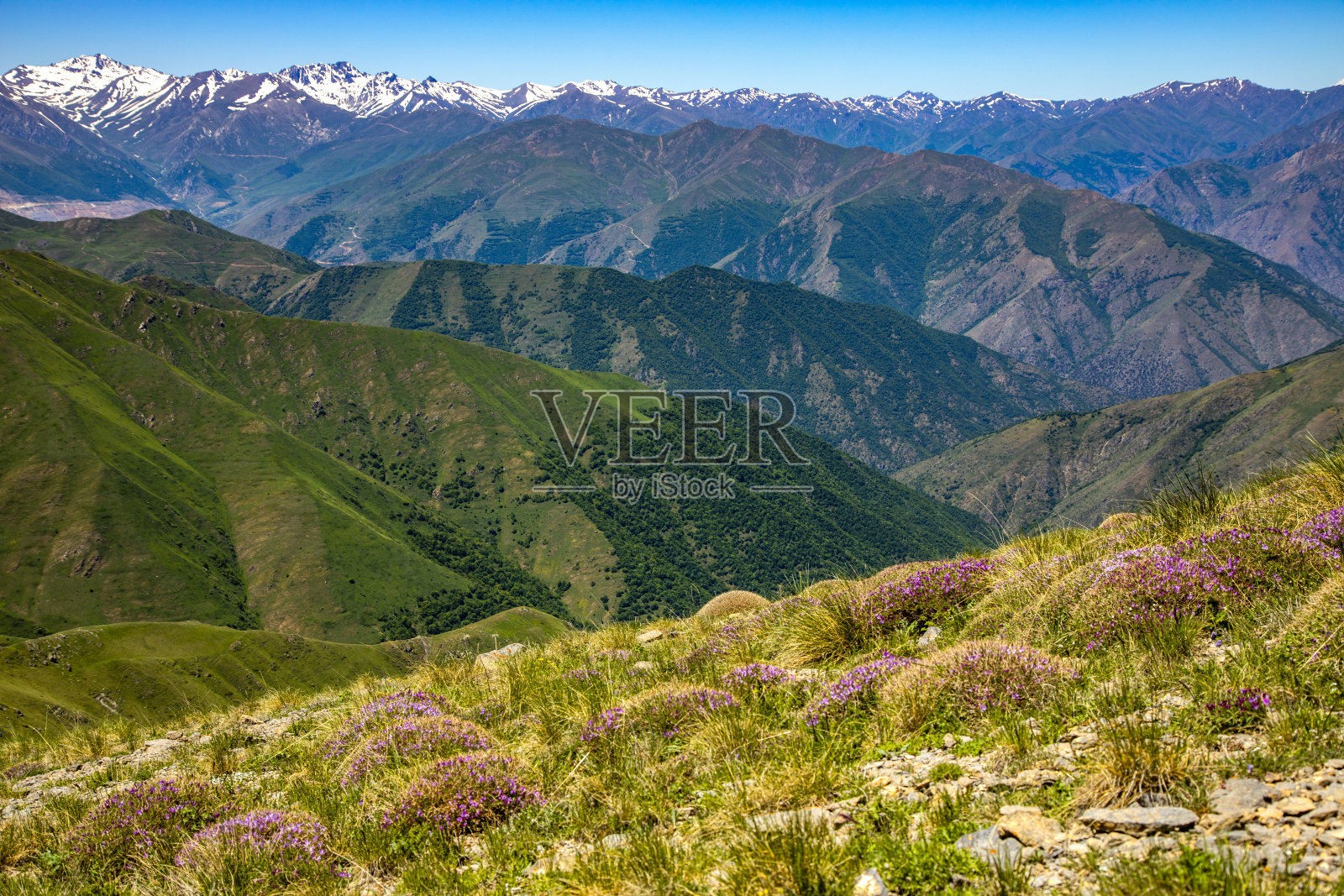 绿林青山照片摄影图片