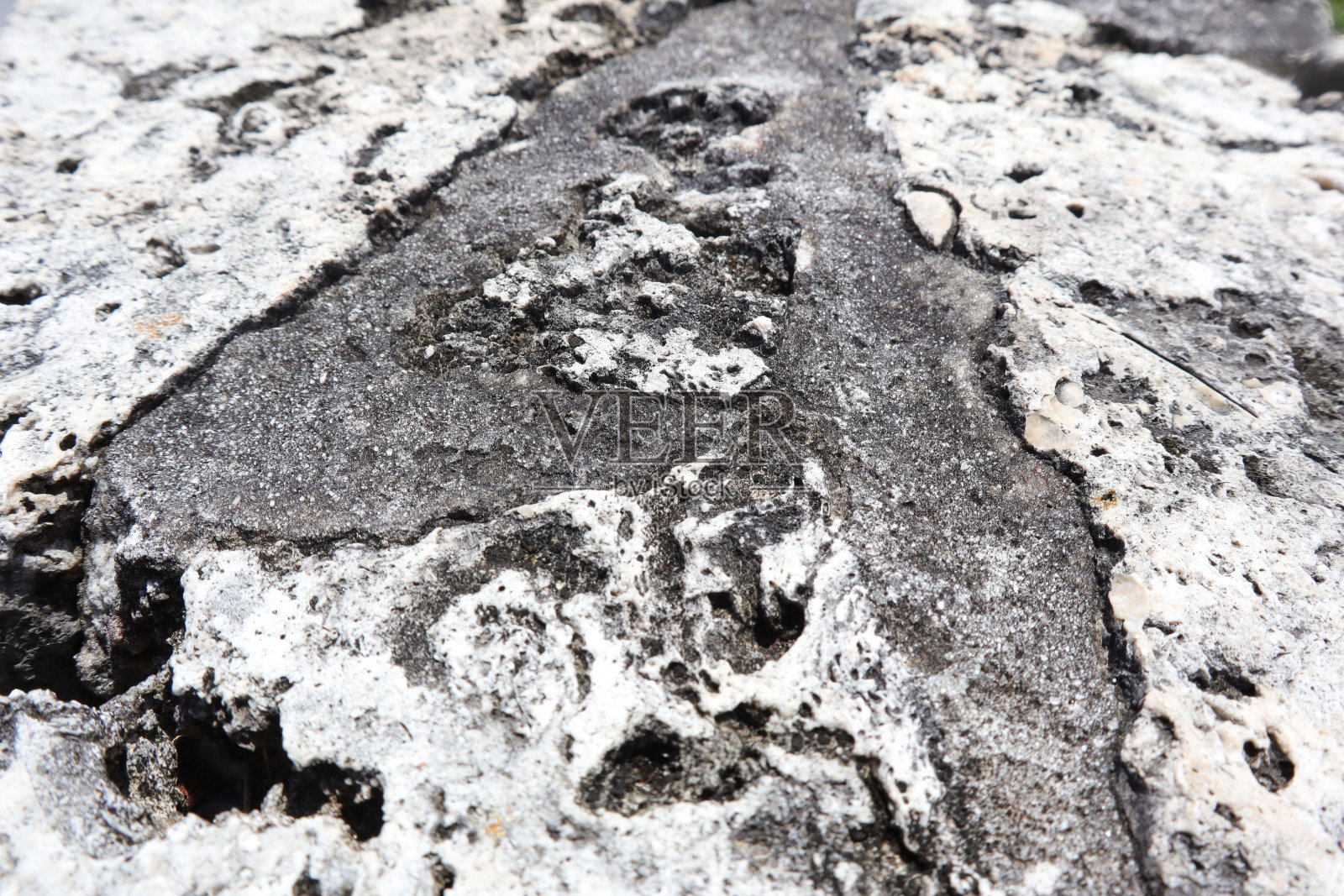 在佛罗里达州霍姆斯特德比斯坎国家公园岩石制成的岩架，岩石有不同的模式照片摄影图片