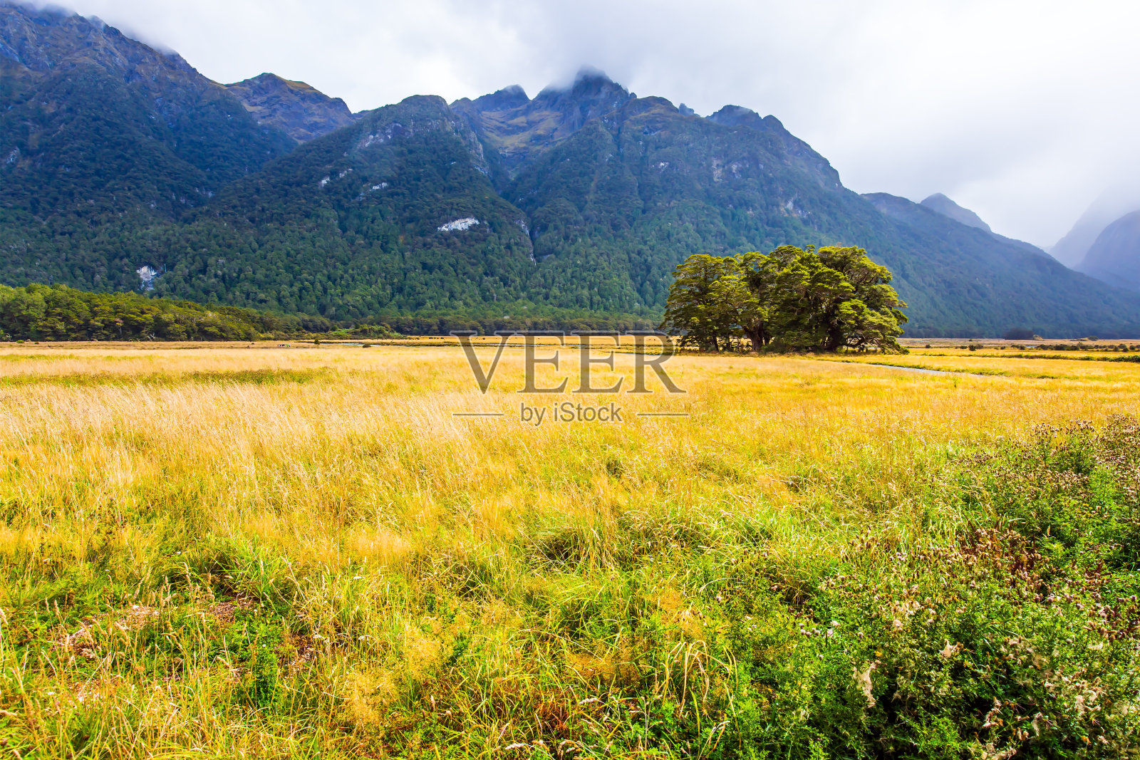 多雾和寒冷的夏天照片摄影图片