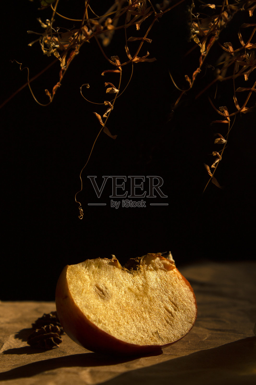 苹果照片摄影图片