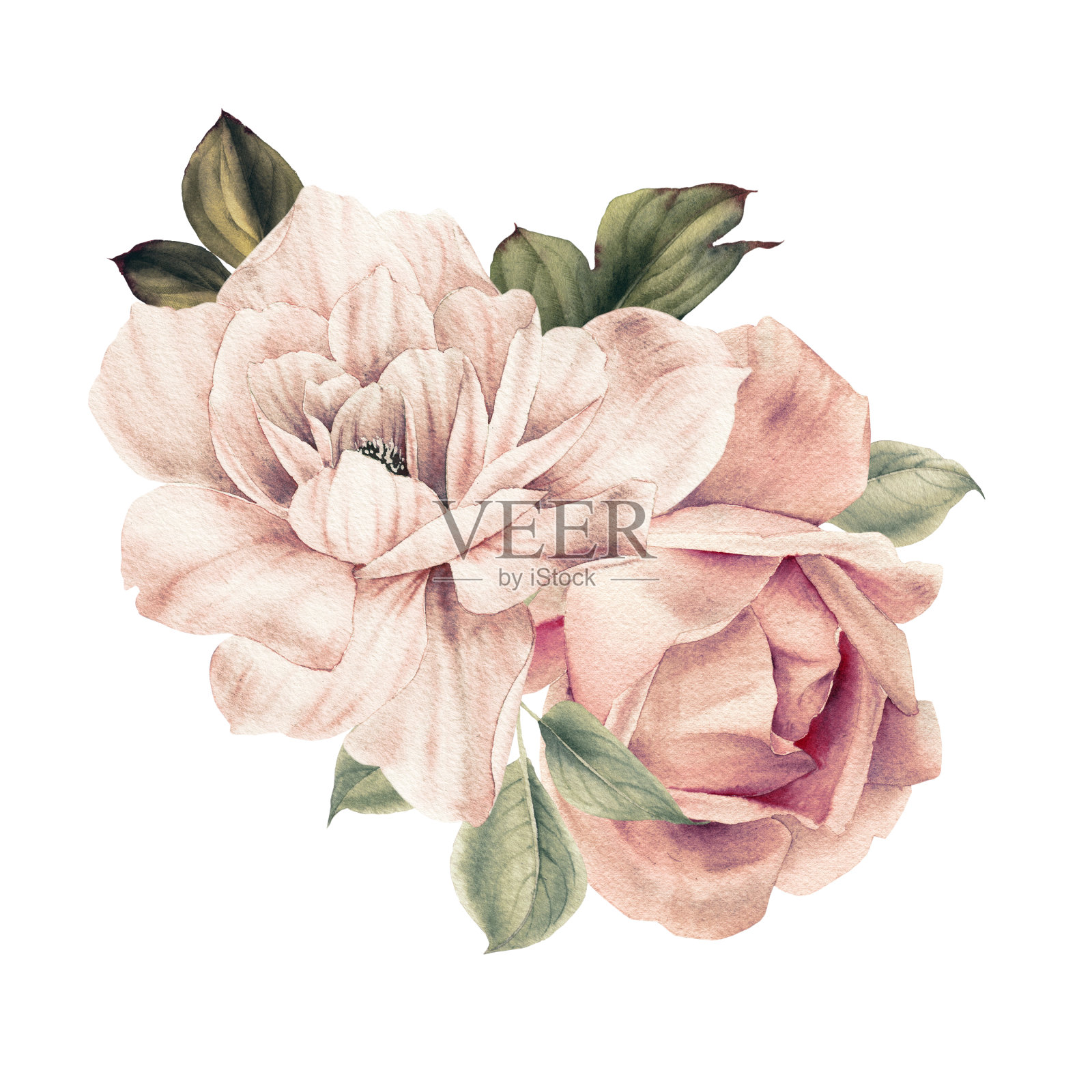 花束，可作为贺卡、婚礼请柬、生日等节假日和夏季背景。水彩插图插画图片素材