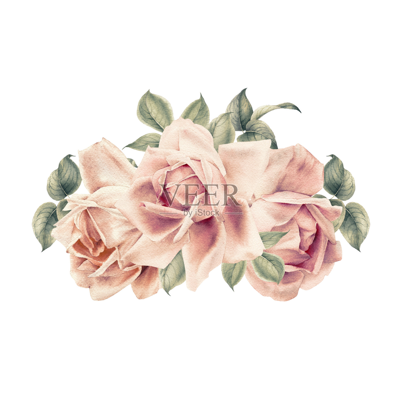 花束，可作为贺卡、婚礼请柬、生日等节假日和夏季背景。水彩插图插画图片素材