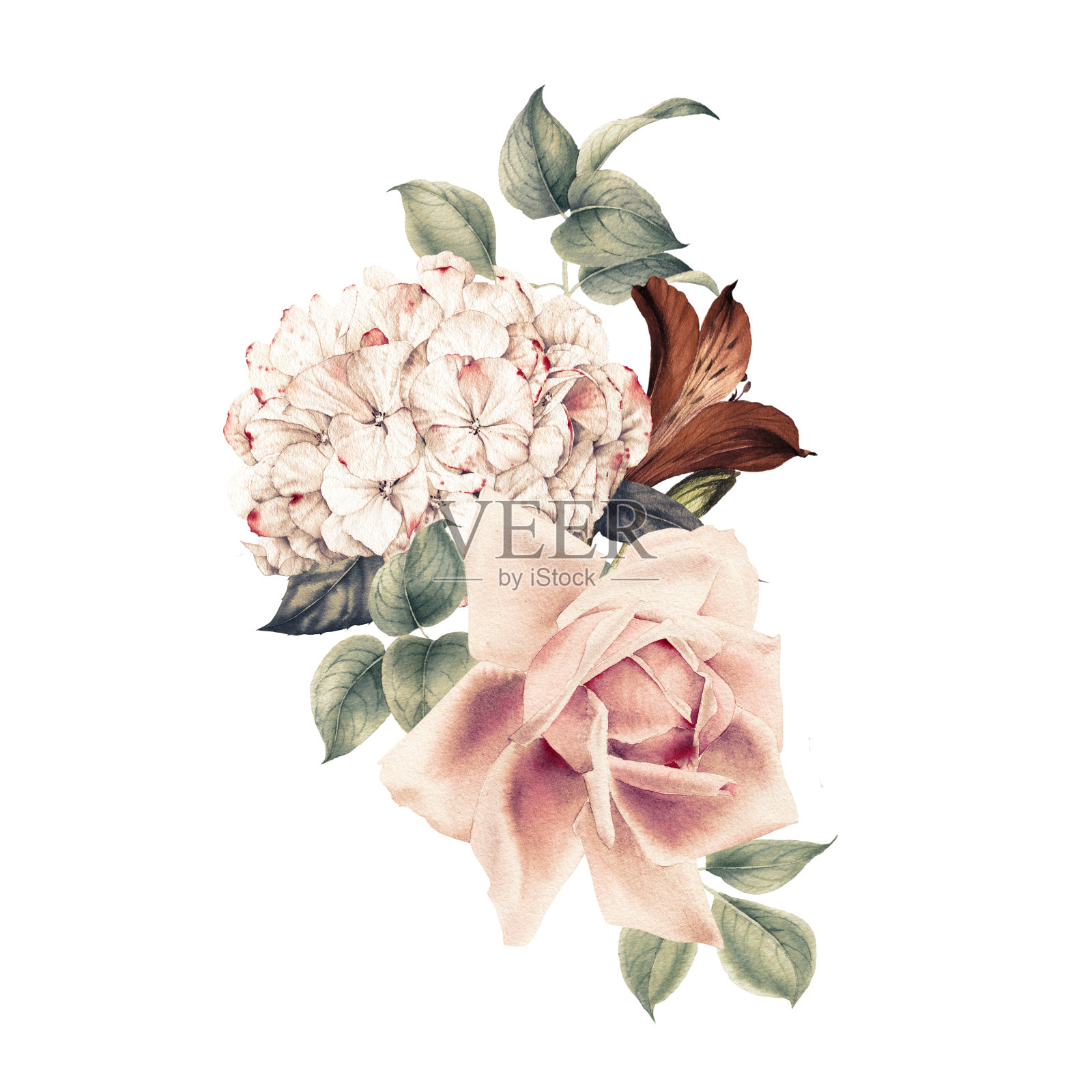 花束，可作为贺卡、婚礼请柬、生日等节假日和夏季背景。水彩插图插画图片素材