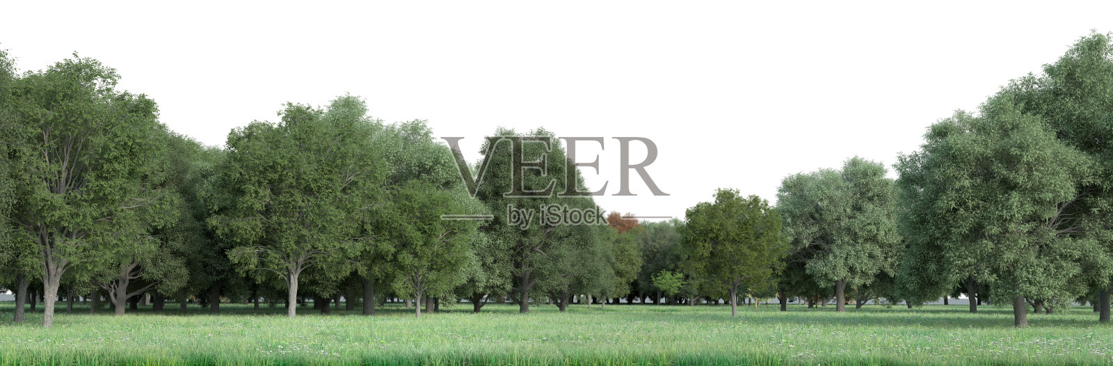 自定义字段照片摄影图片