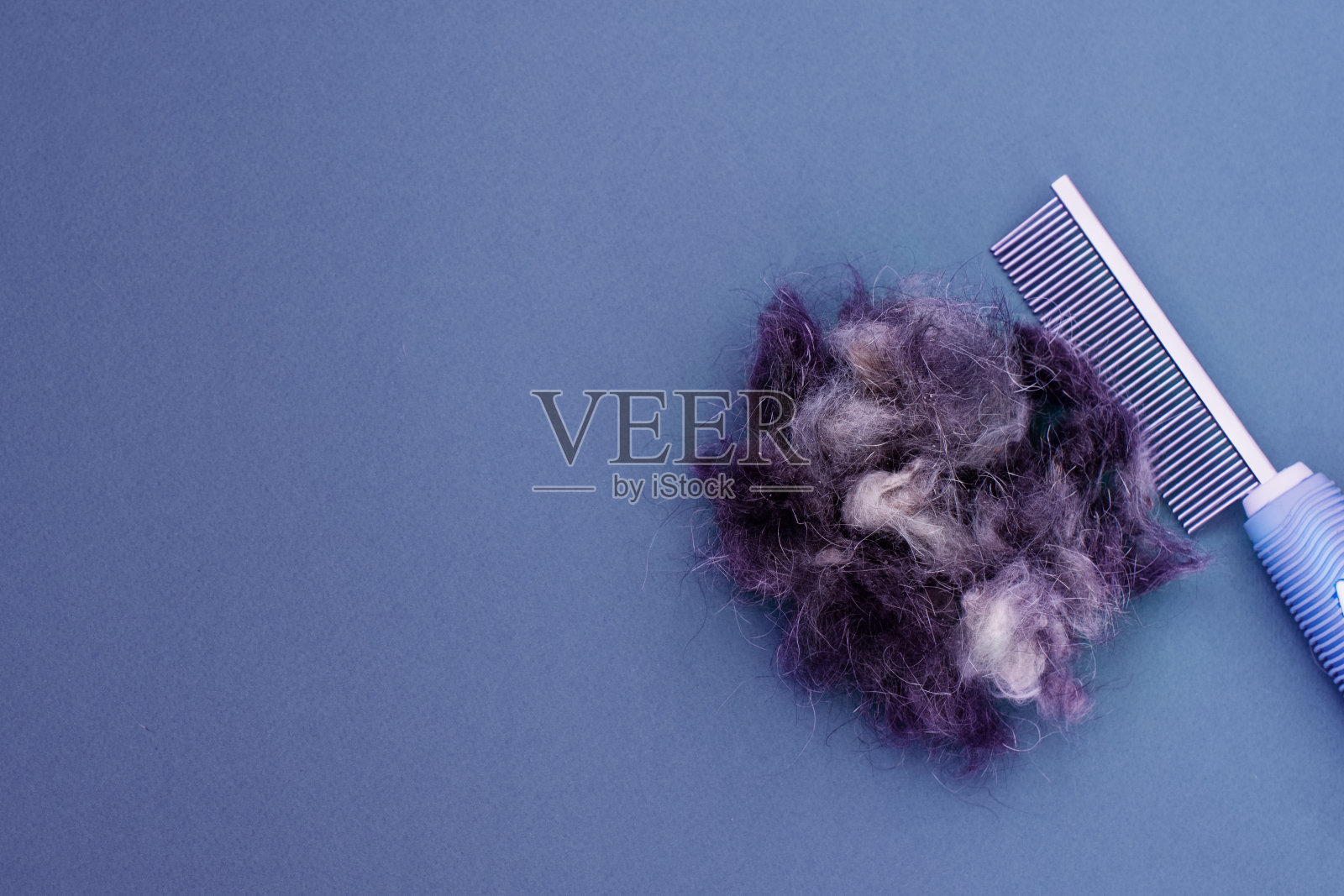 梳妆工具梳子，指甲剪刀和一根宠物毛，平躺着。空间的文本。梳理概念照片摄影图片