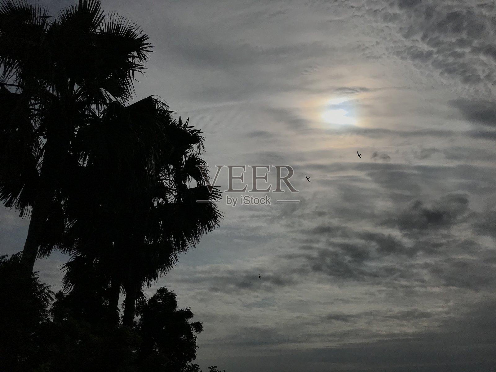 自然照片摄影图片