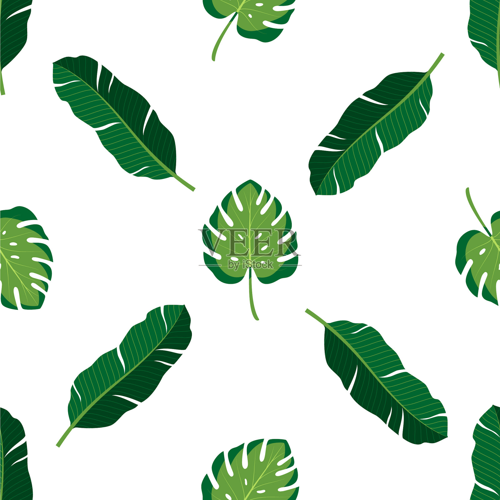 热带叶的无缝模式插画图片素材