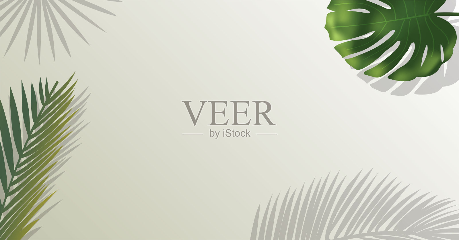 现实的绿色棕榈叶的树枝在白色的背景。插画图片素材