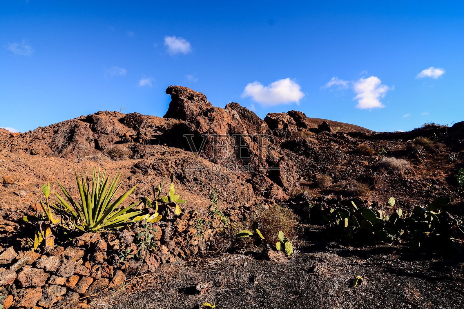 西班牙热带火山加那利群岛的景观照片摄影图片