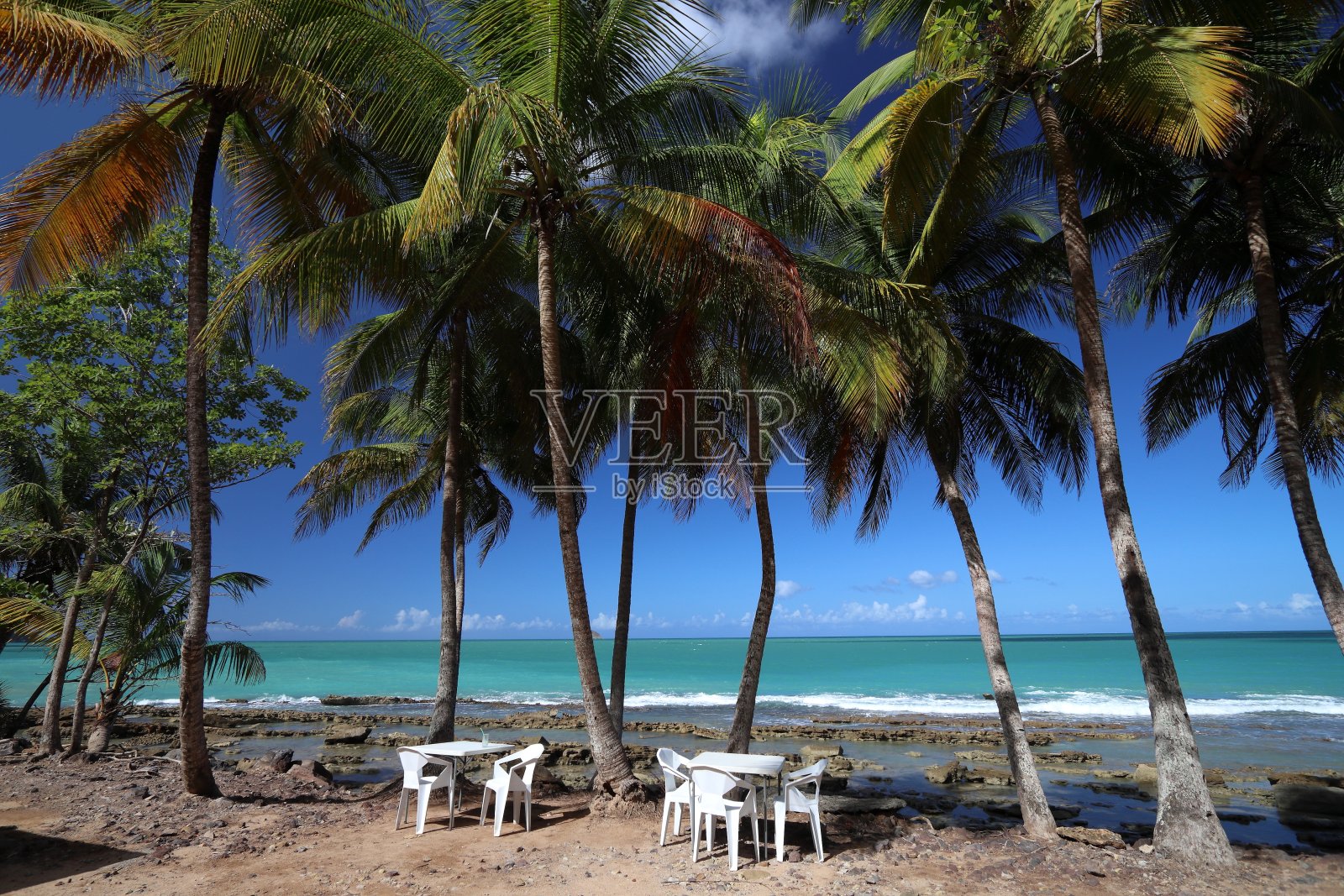 瓜德罗普岛的自然景观照片摄影图片