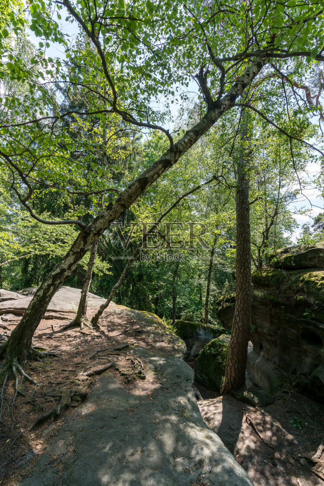 瑞士撒克逊地区的岩石迷宫照片摄影图片