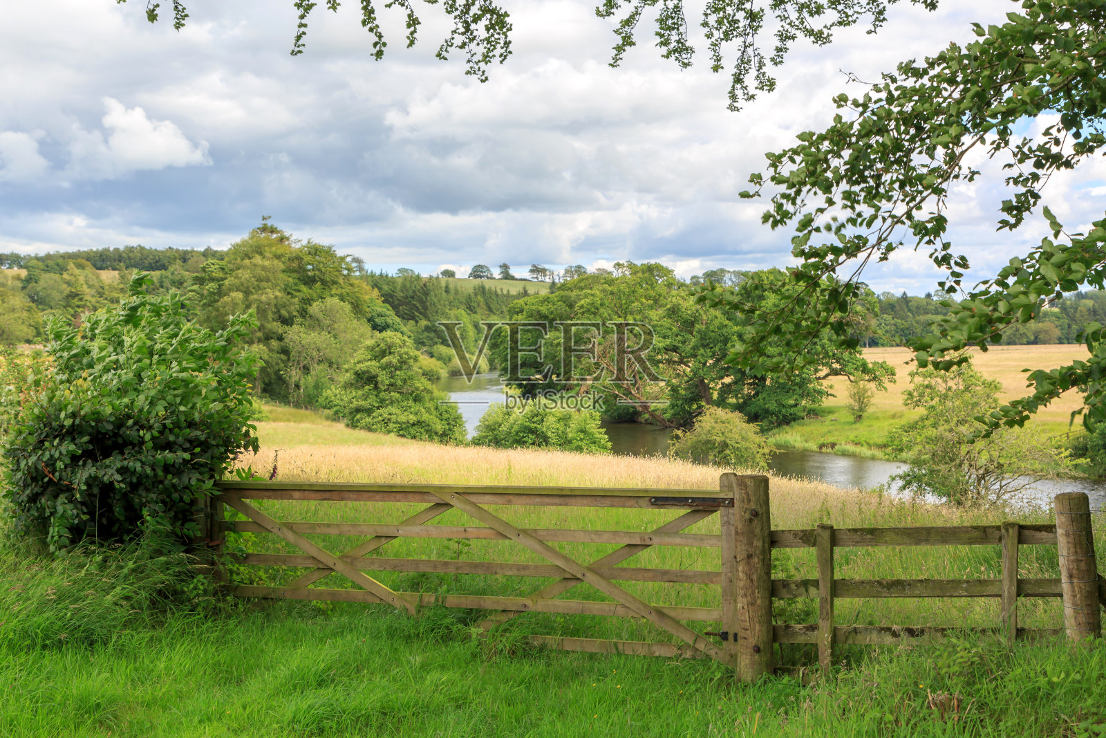 安南河照片摄影图片