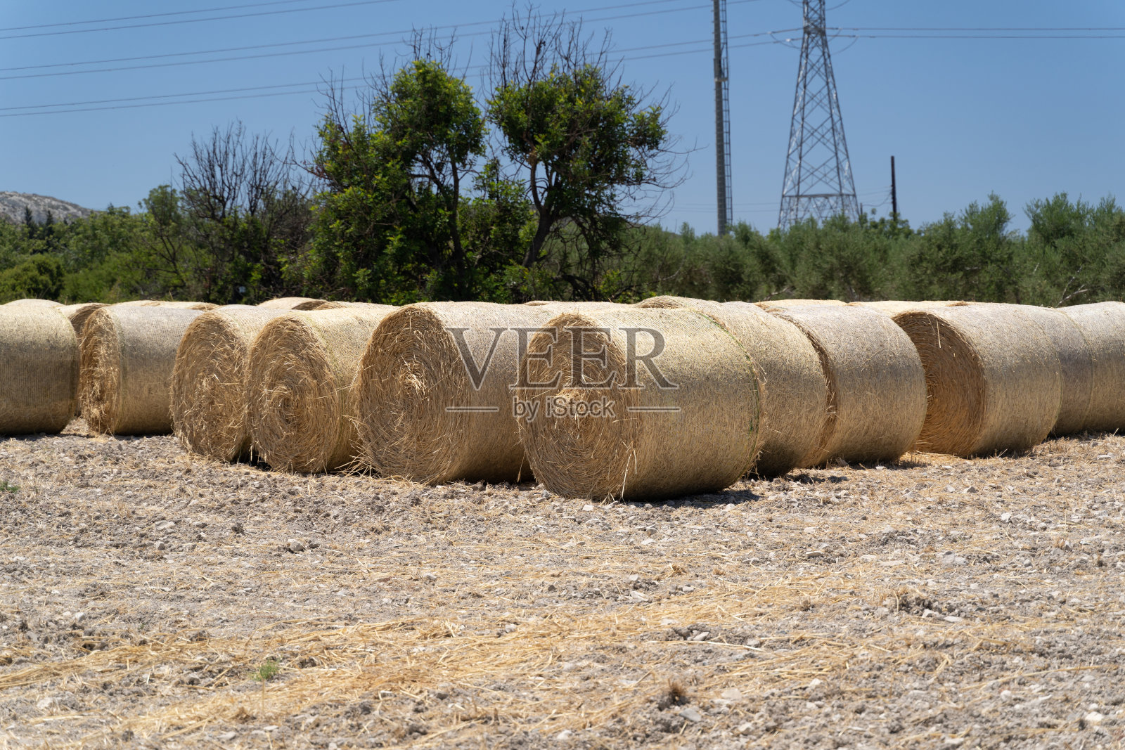 一个近距离拍摄的圆形干草堆在田野和树木的背景照片摄影图片