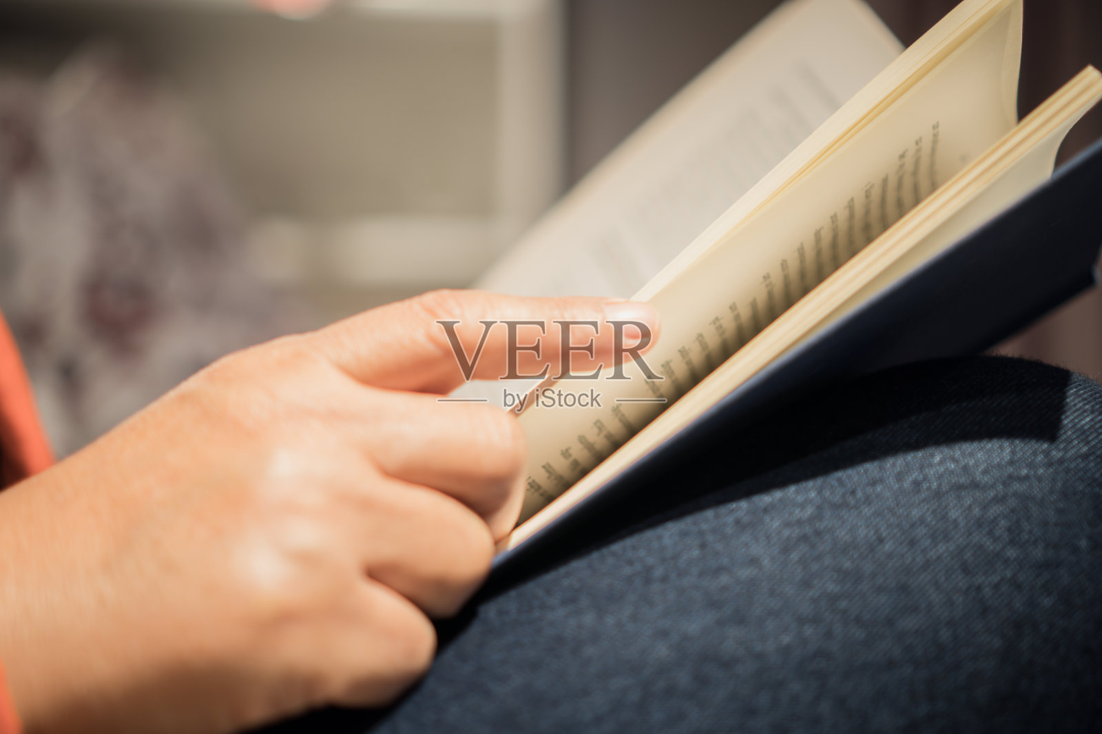 在家里读教材、文献或在图书馆学校教室的课桌上读学术书籍。放松或爱好学习知识，教育学习理念照片摄影图片