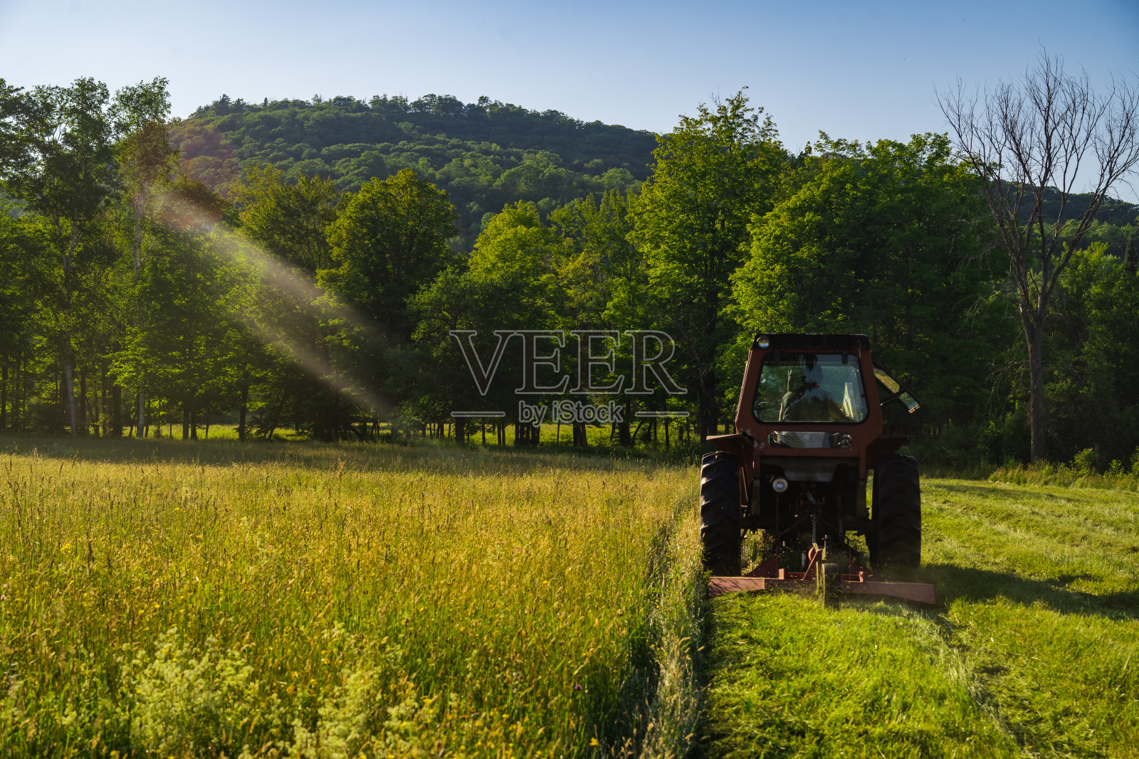 拖拉机在割草照片摄影图片