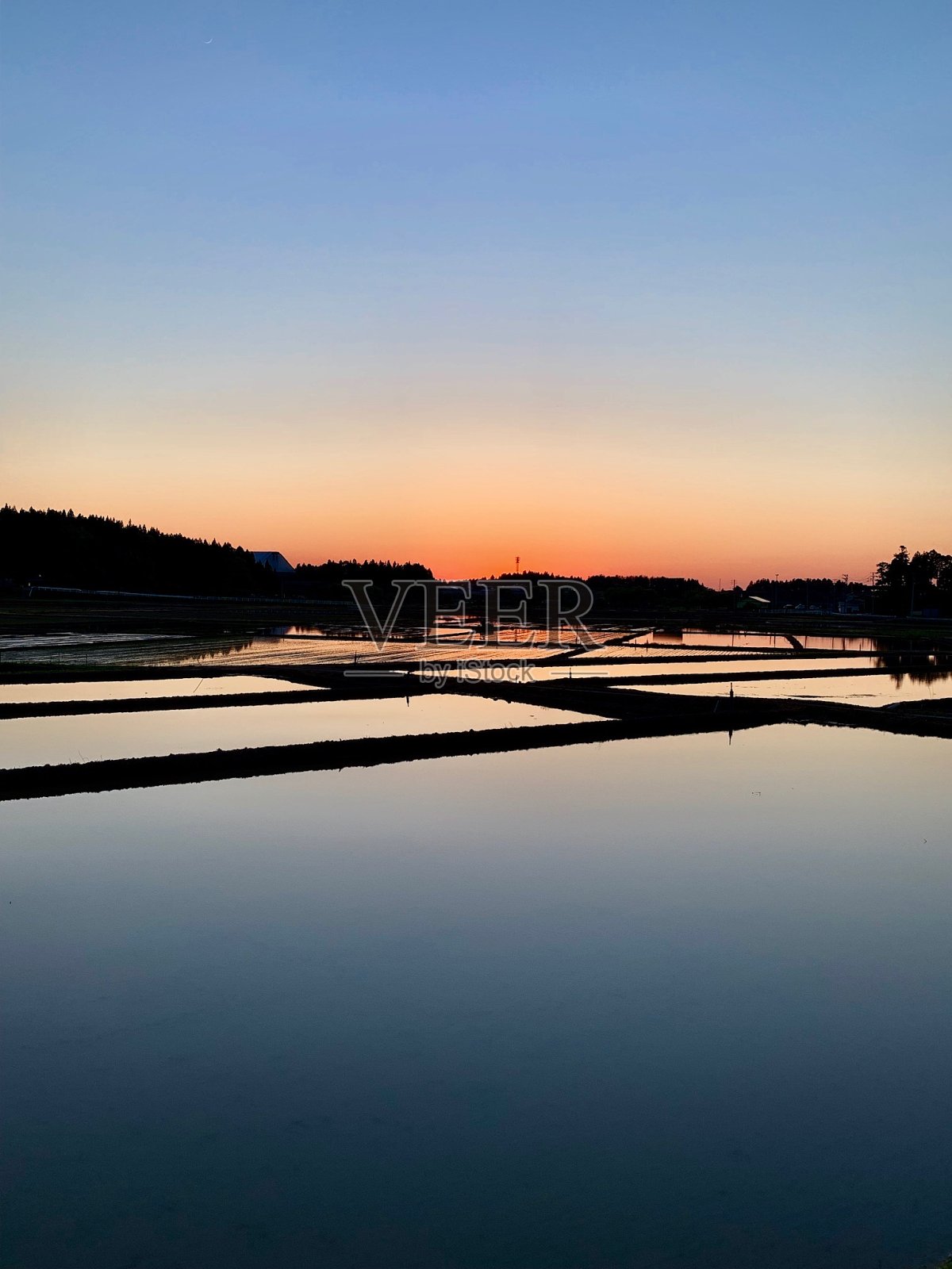 日本的稻田照片摄影图片