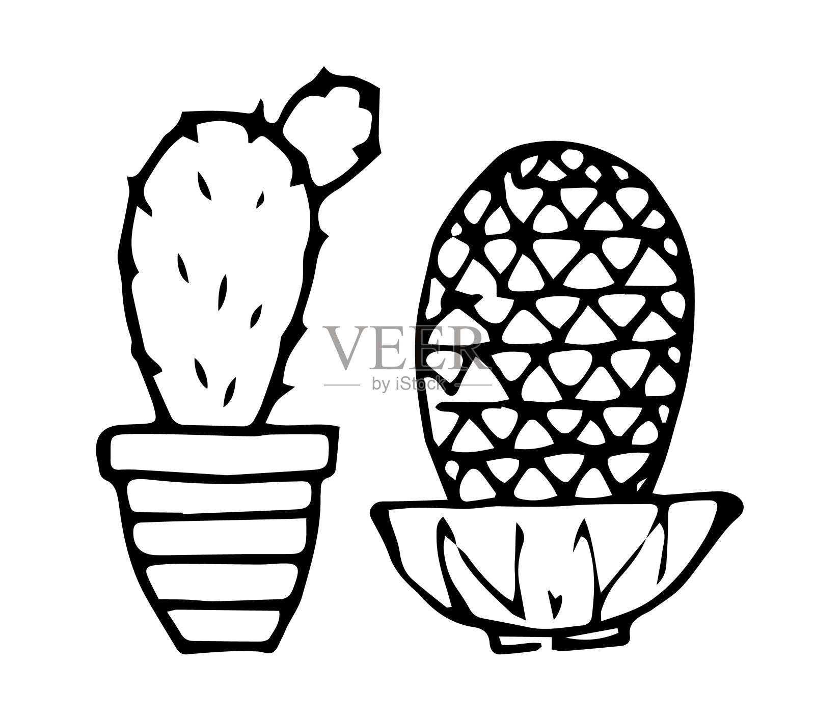 两个仙人掌手绘风格。黑色的轮廓。设计元素图片