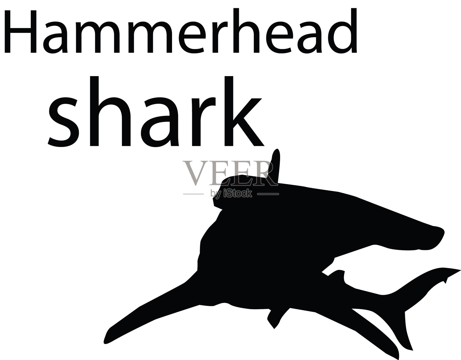 锤头鲨设计设计元素图片